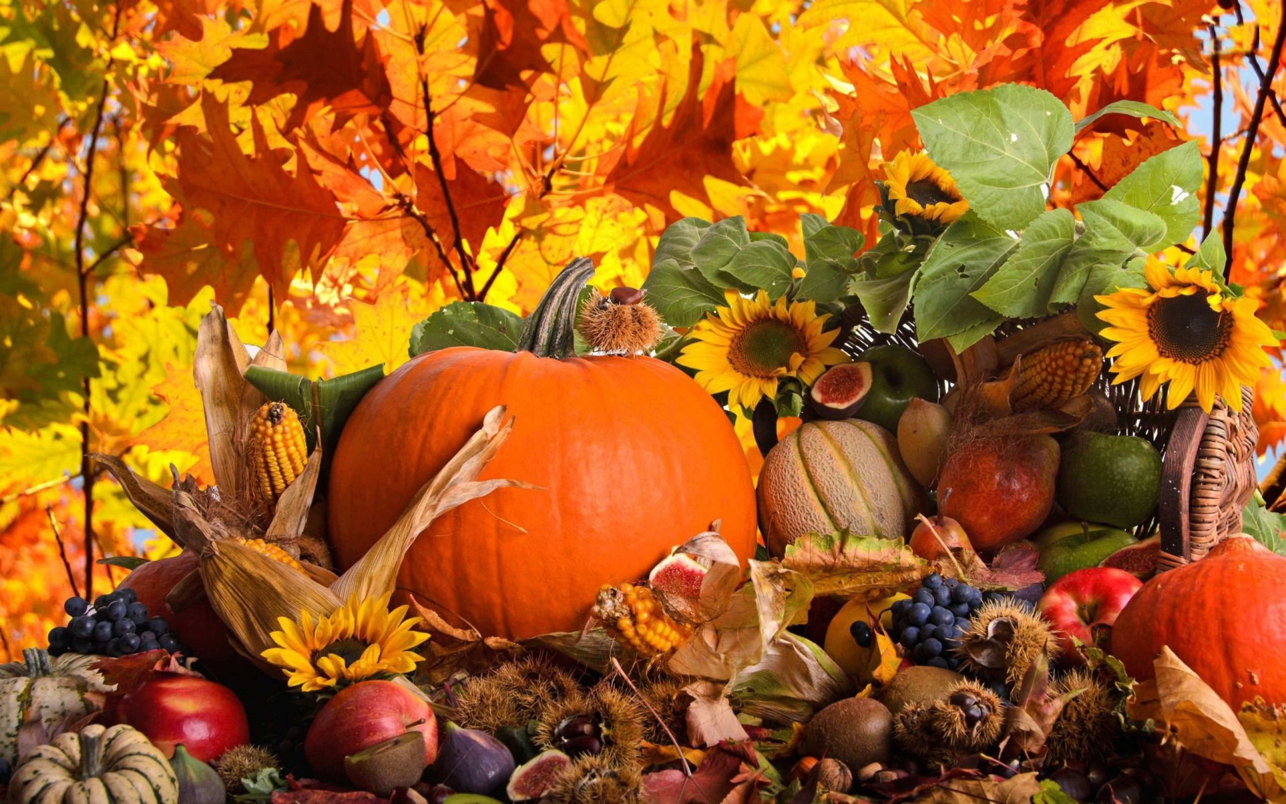 2560x1600 Thanksgiving Background Images (37+ pictures