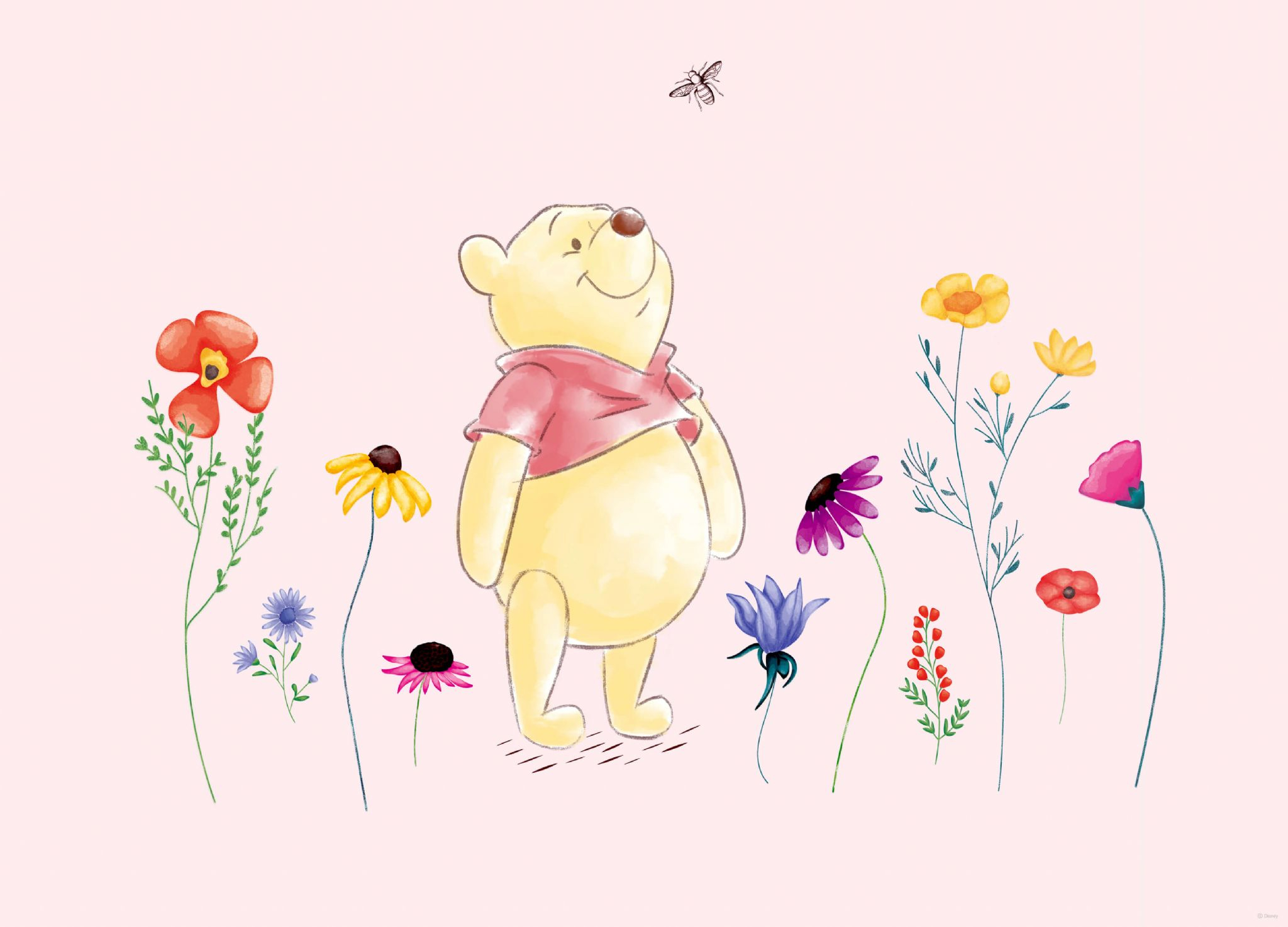 2048x1474 Winnie The Pooh Small Premium wall murals | Buy it now