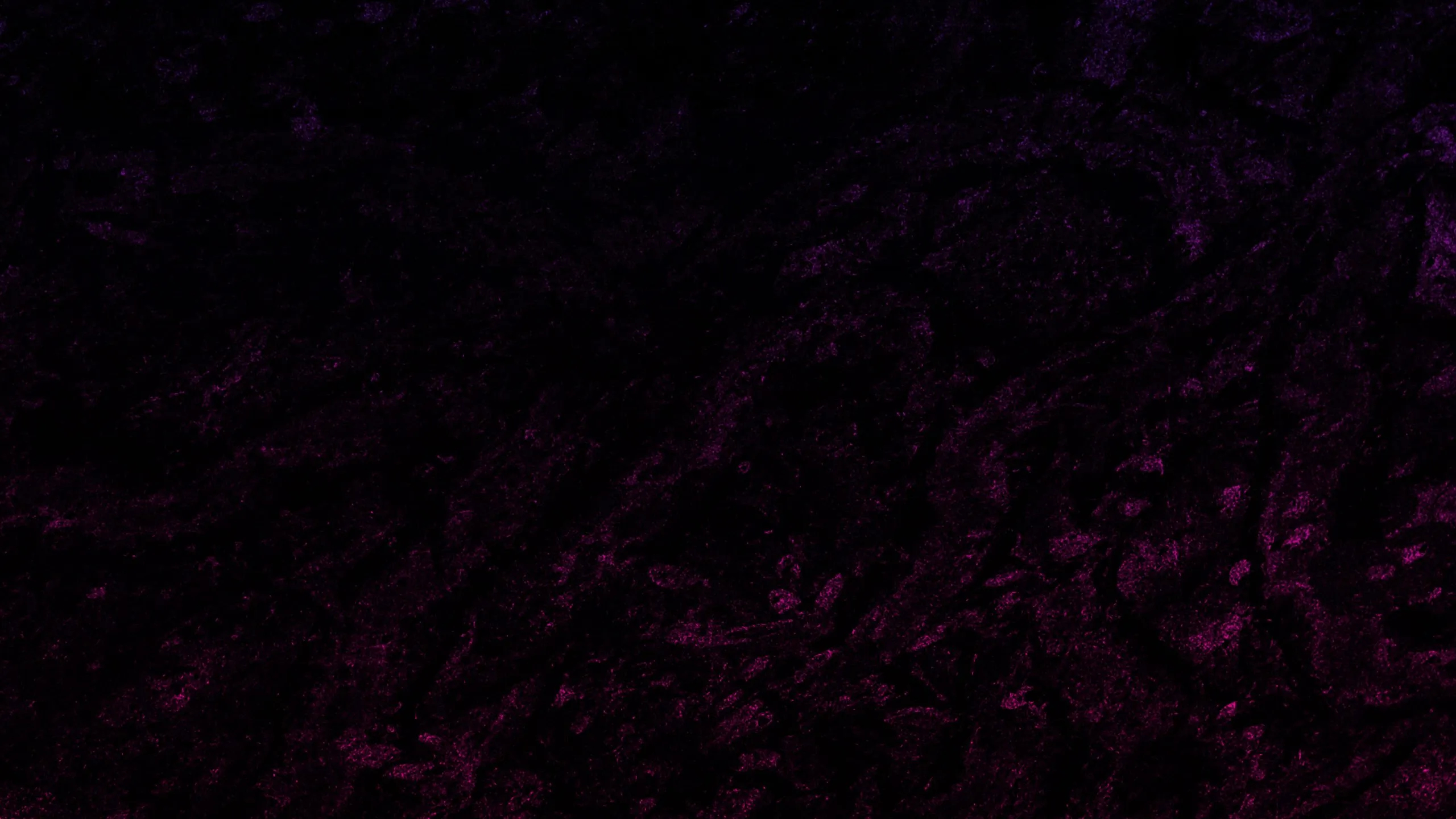 2560x1440 Purple and black texture wallpaper Free Image by Inderpreet kaur