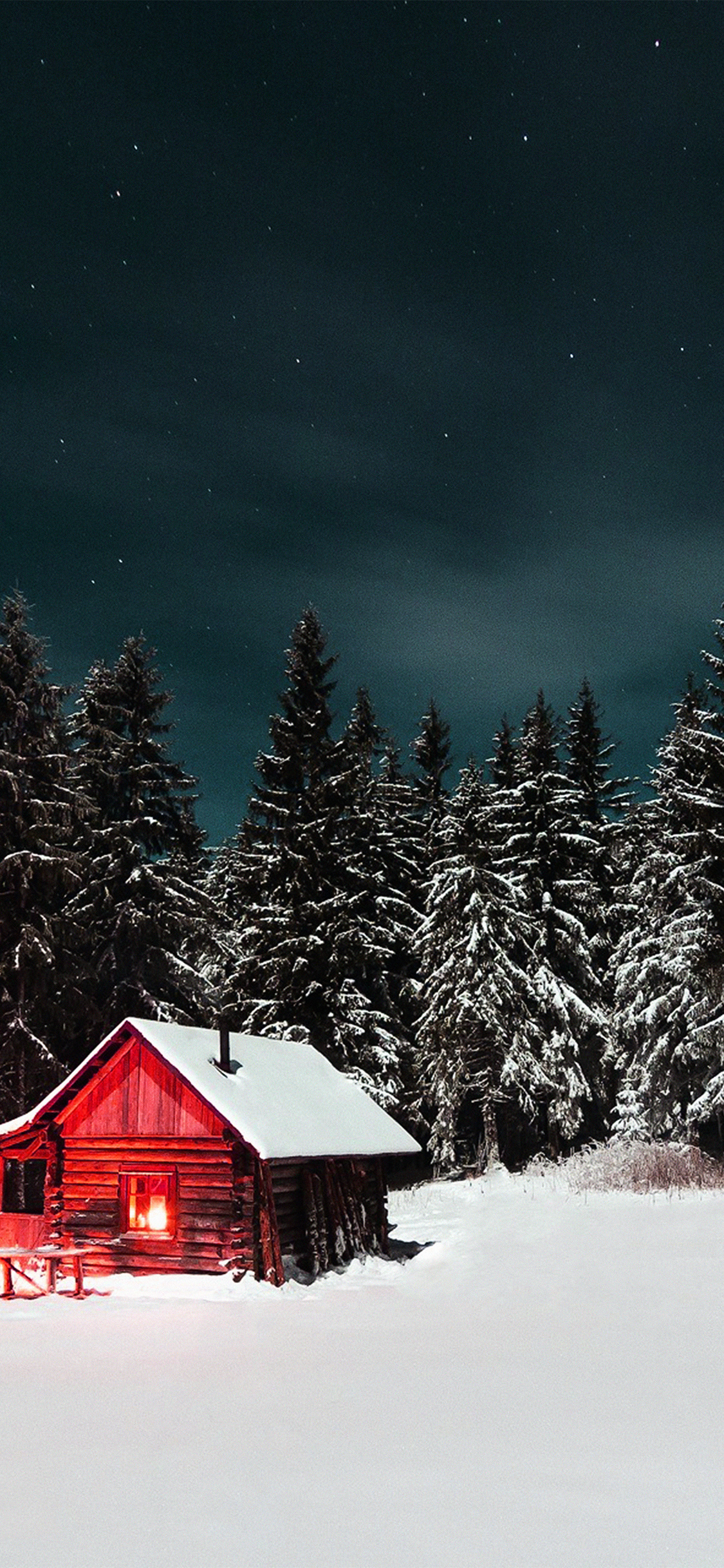 1125x2436 | iPhone11 wallpaper | nl38-winterhouse-night-sky-christmas-starry