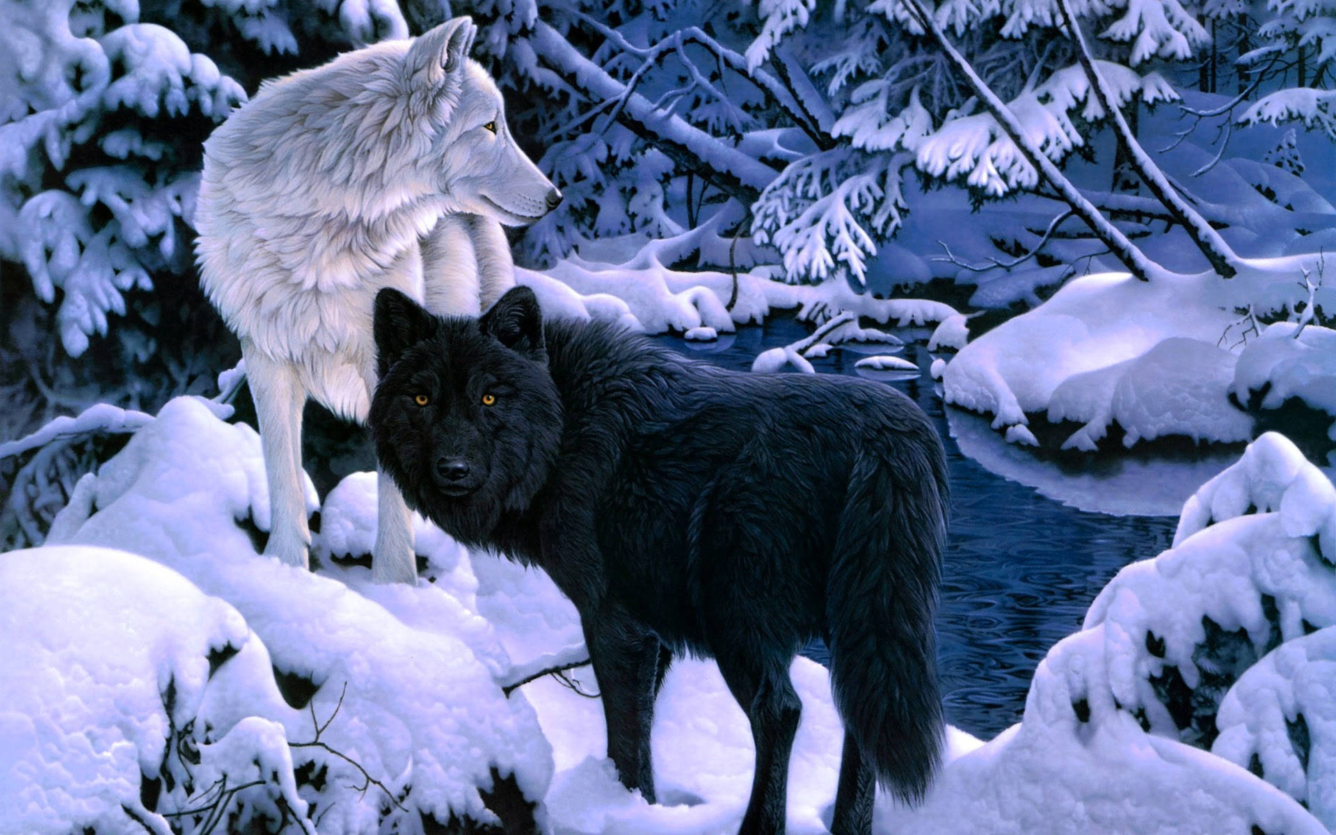 1920x1200 Download White Wolf With Black Wolf Wallpaper