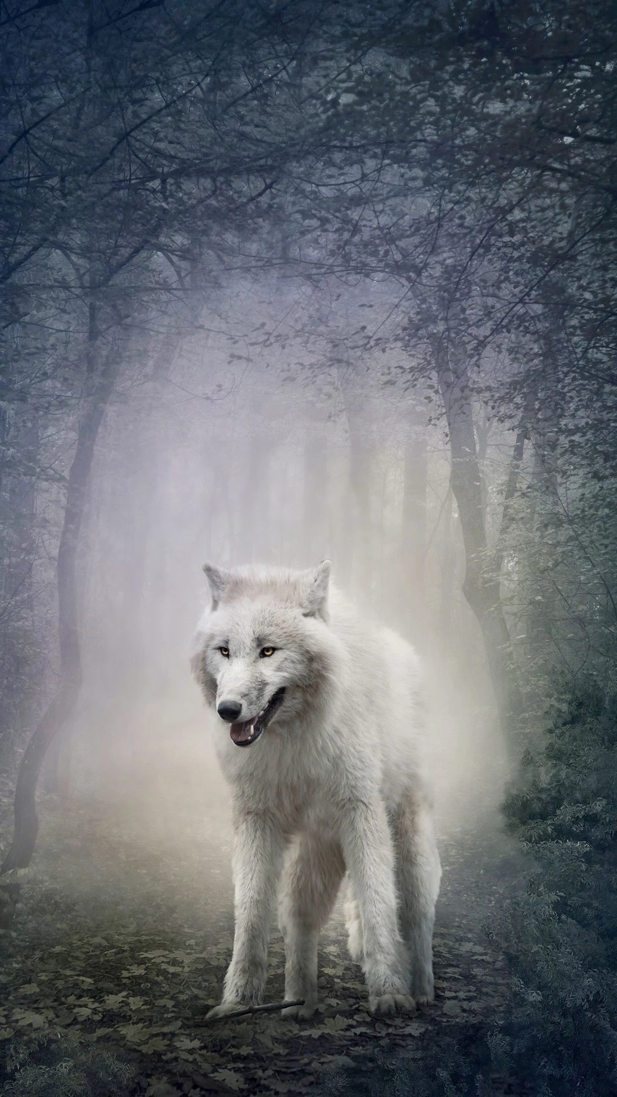 1242x2208 White Wolf iPhone Wallpapers Top Free White Wolf iPhone Backgrounds