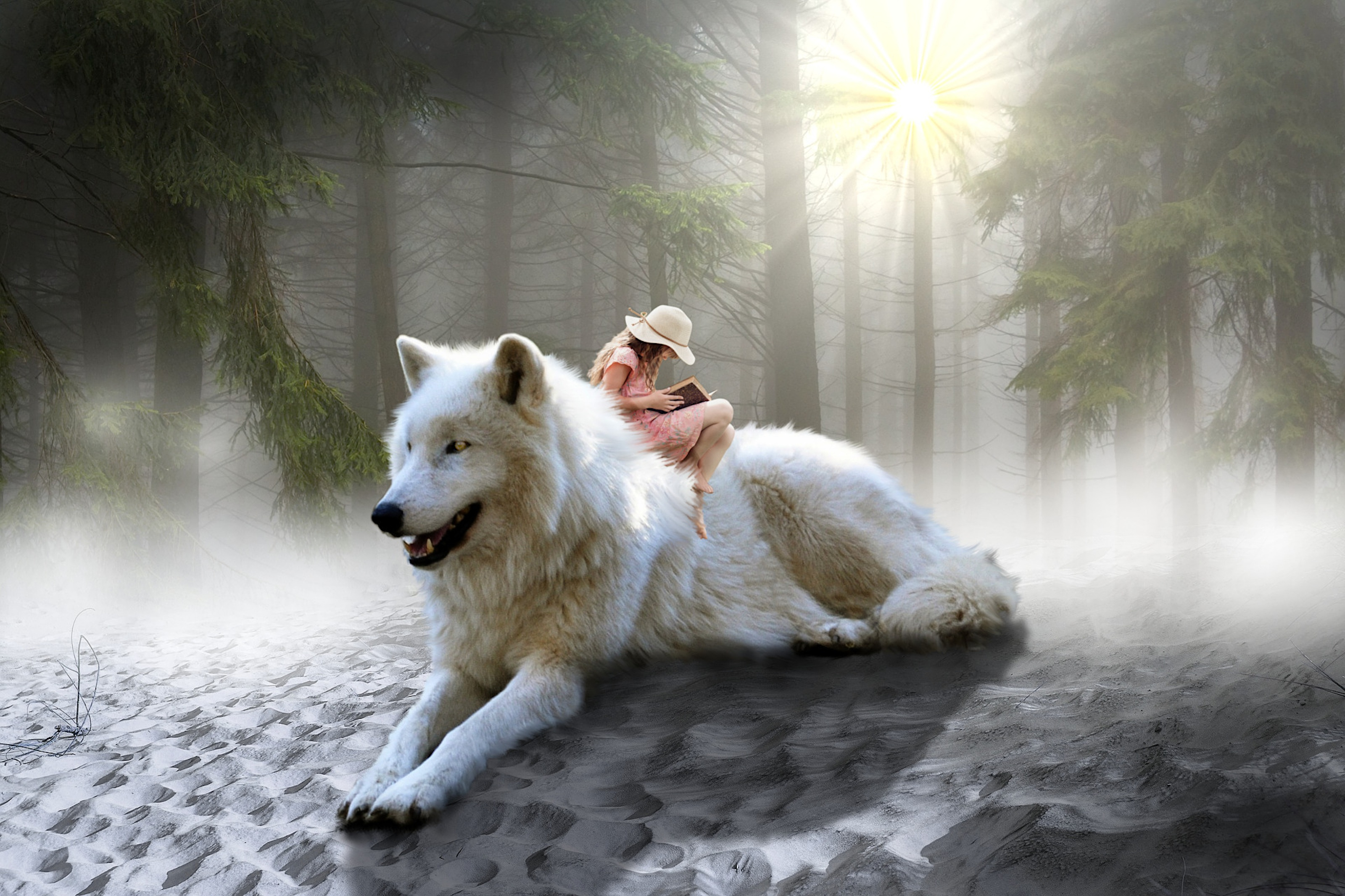 3200x2133 50+ White Wolf HD Wallpapers and Backgrounds