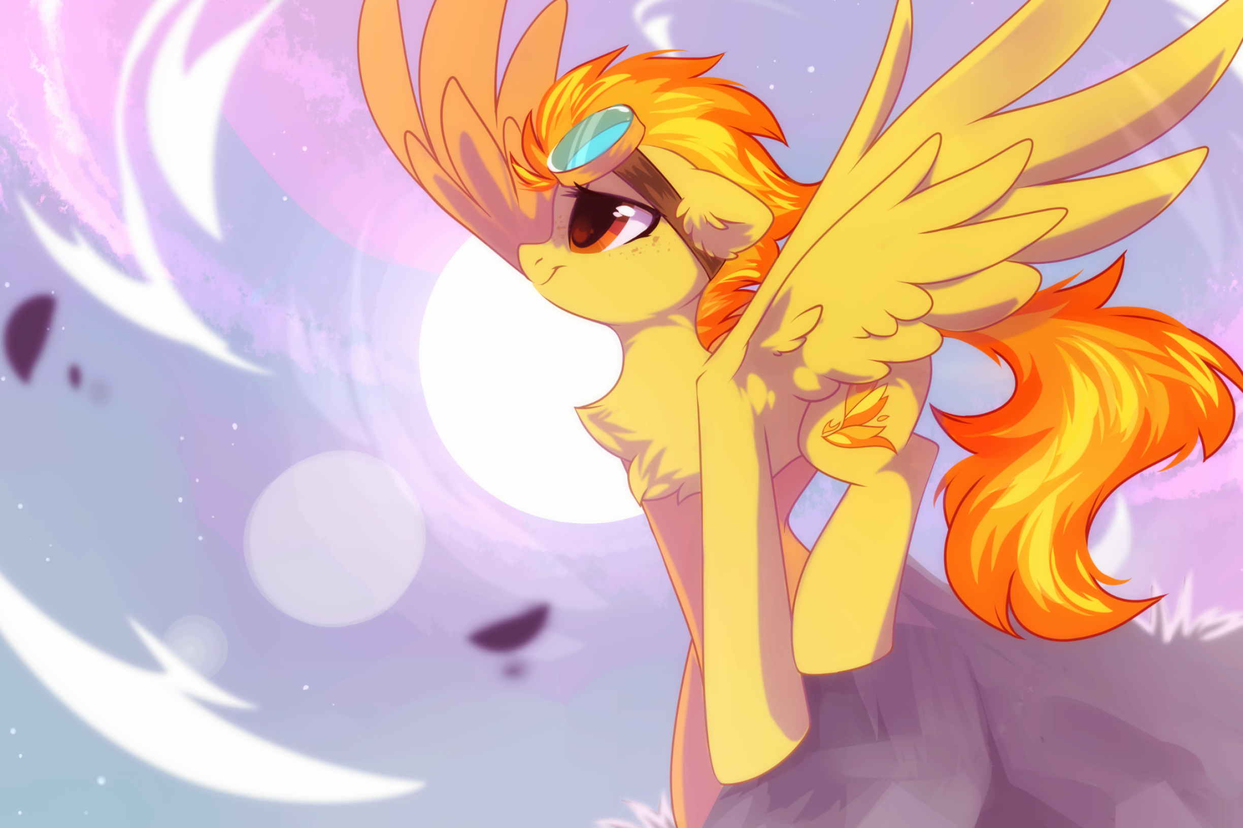 2449x1632 10+ Spitfire (My Little Pony) HD Wallpapers and Backgrounds