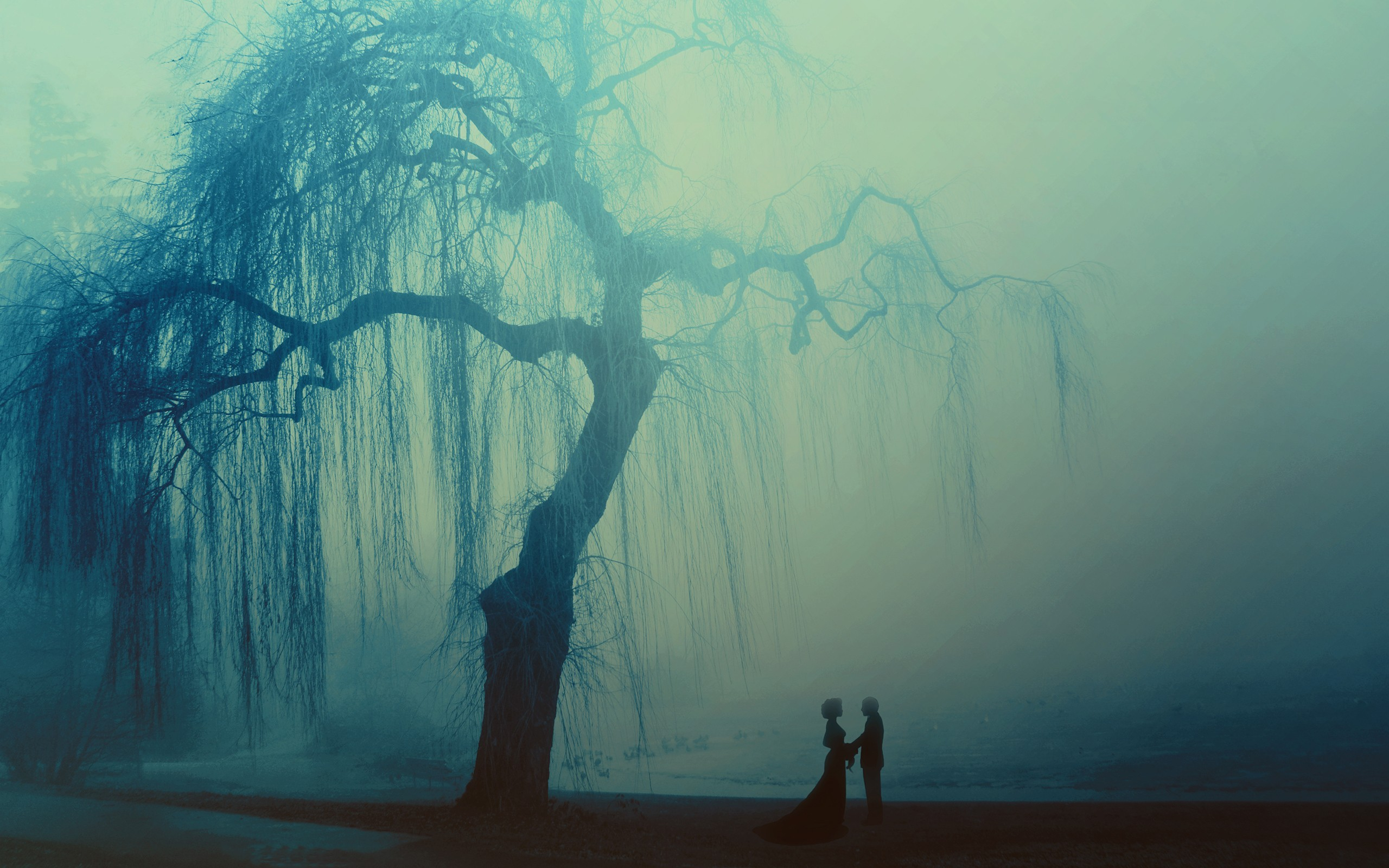 2560x1600 Wallpaper : men, sunlight, trees, landscape, women, morning, mist, atmosphere, weeping willow, fog, atmospheric phenomenon Alecto 227690 HD Wallpapers