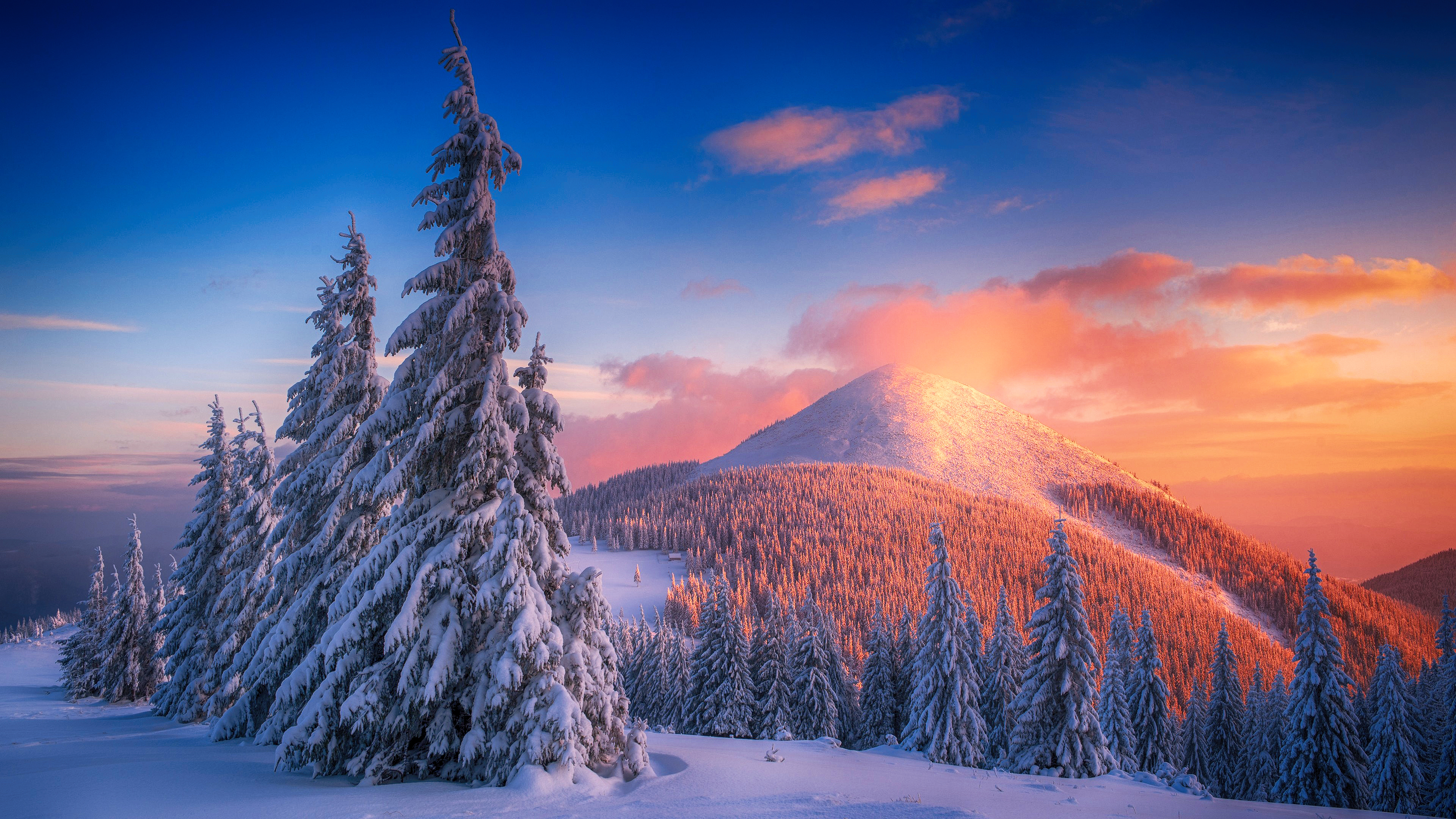 3840x2160 Snowy Pine Trees And Mountains 4k, HD Nature, 4k Wallpapers, Images, Backgrounds, Photos and Pictures
