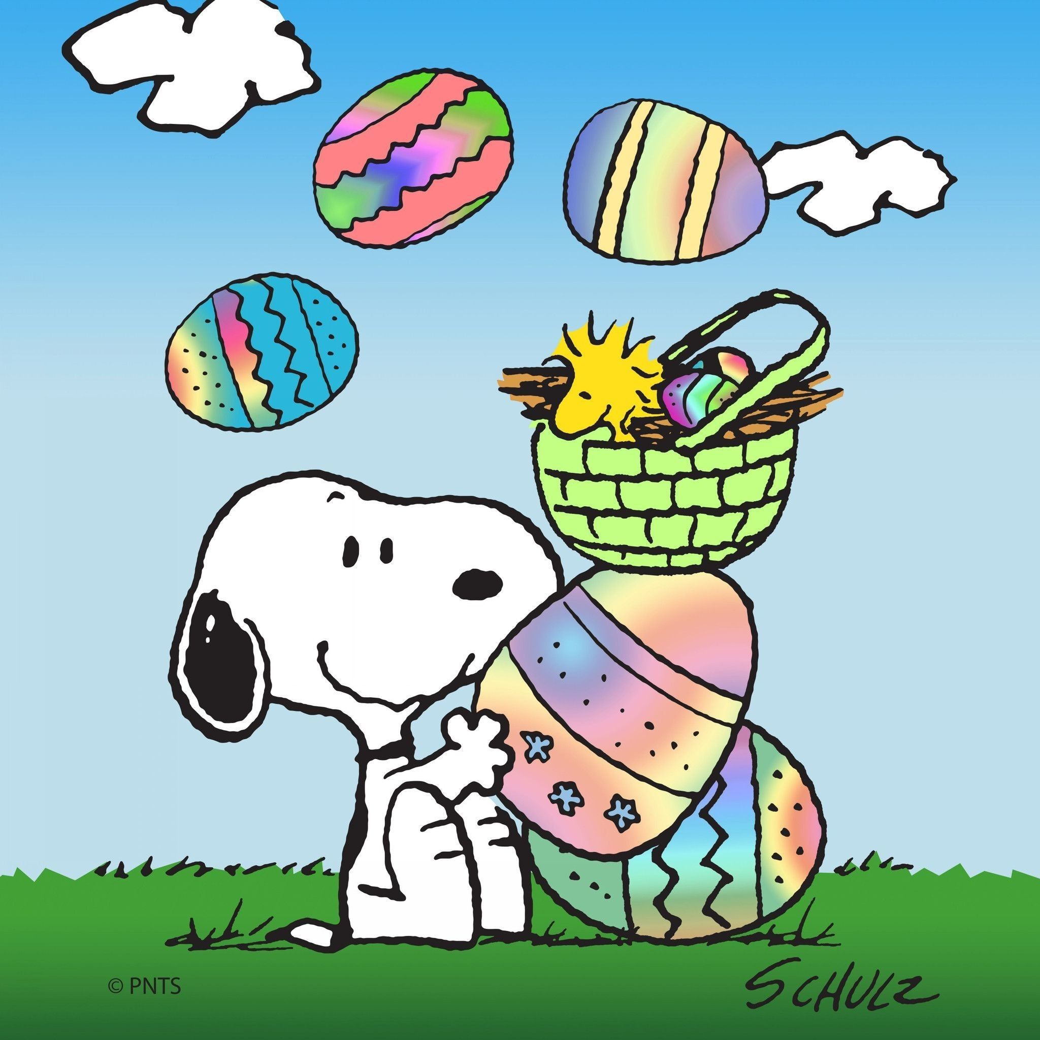 2048x2048 Snoopy Spring Time Wallpapers