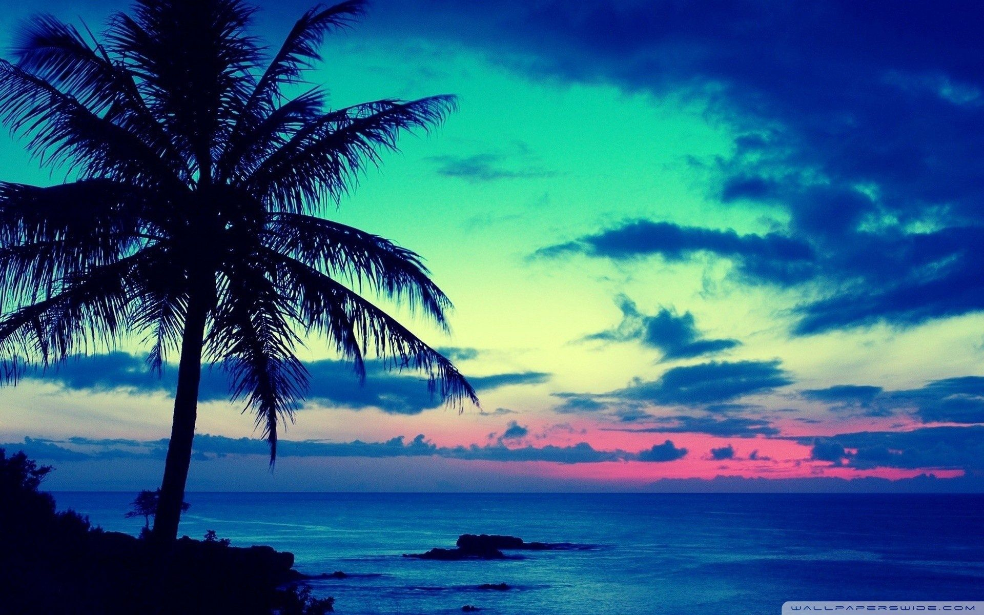 1920x1200 Tropical Wallpapers Top Free Tropical Backgrounds