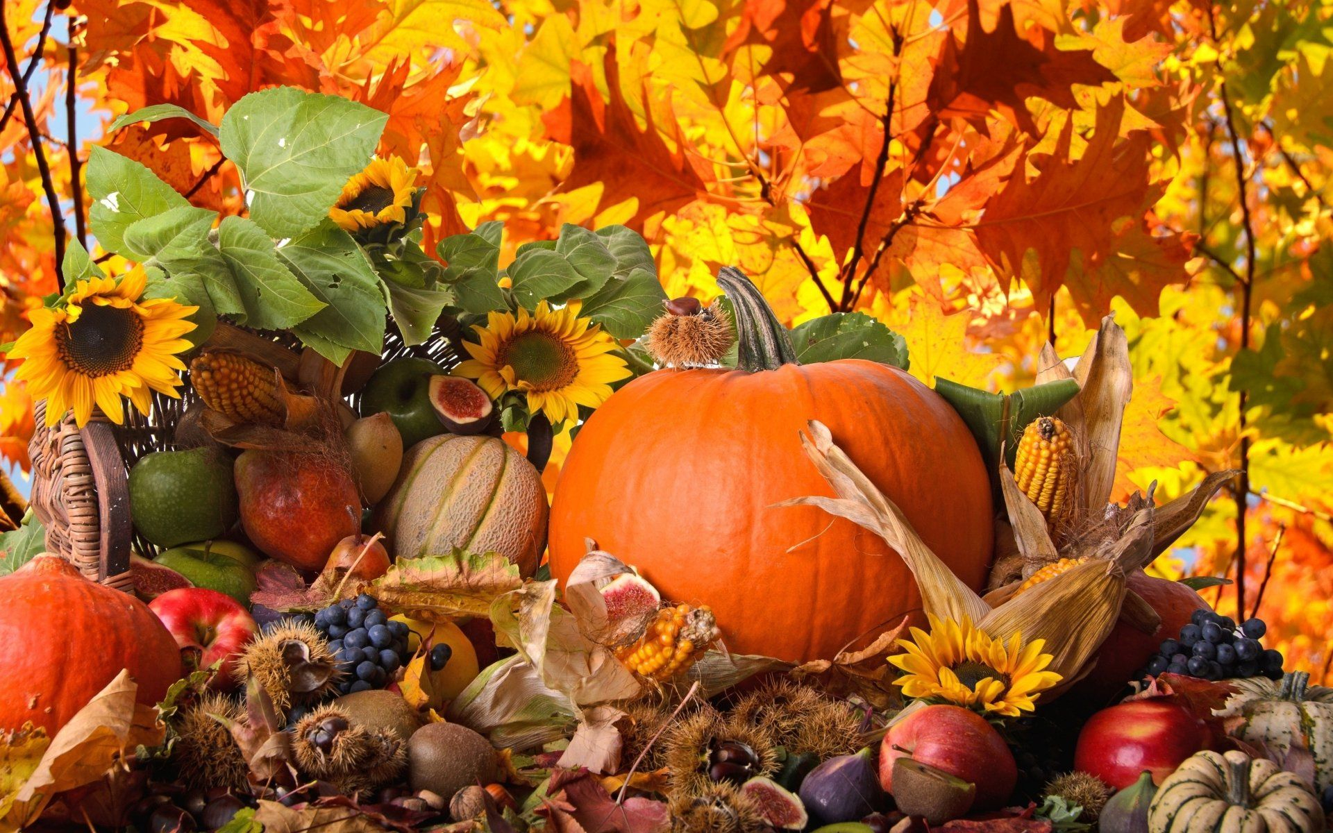 1920x1200 Rustic Thanksgiving Wallpapers