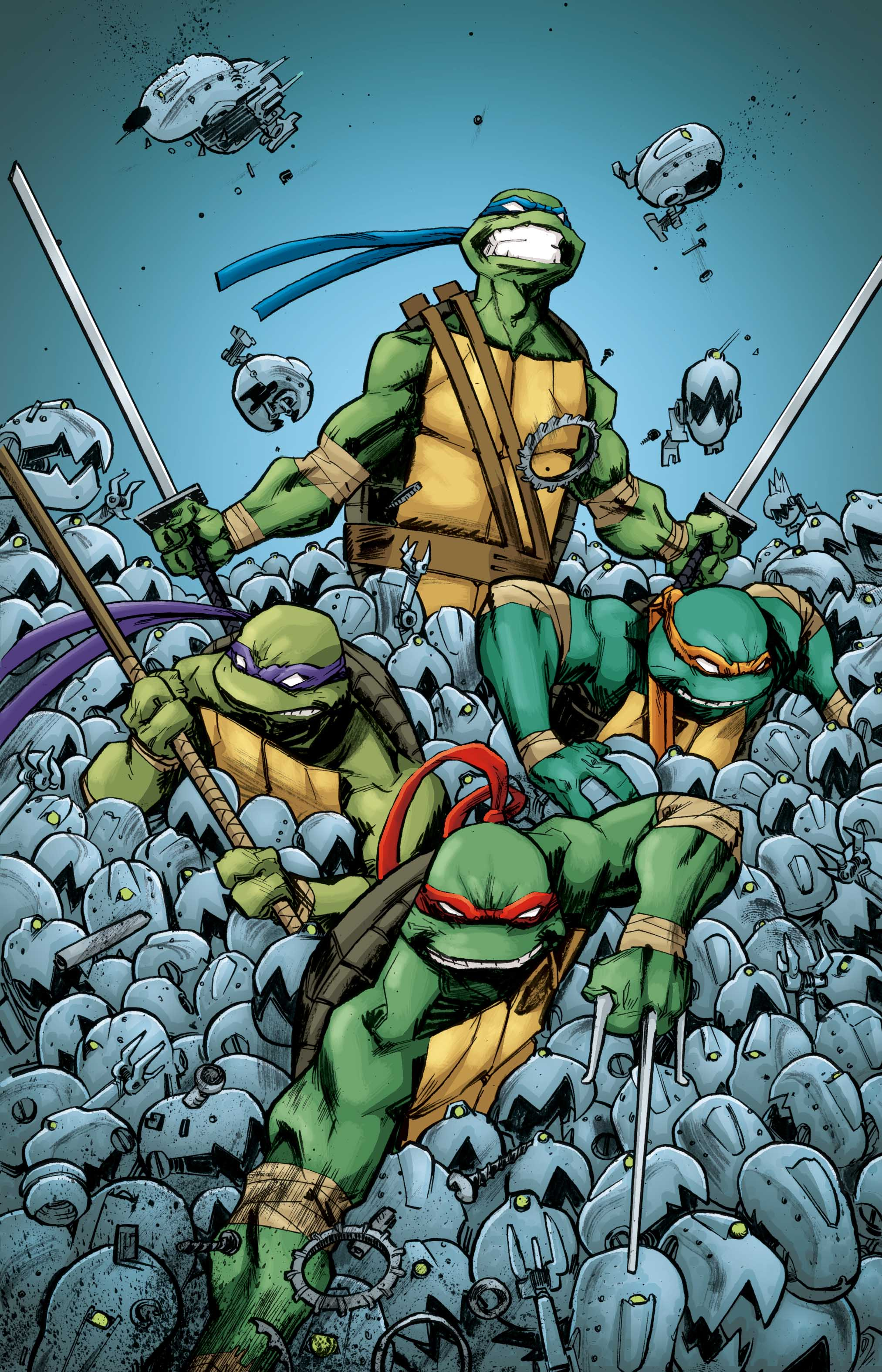 2025x3150 Teenage Mutant Ninja Turtles Comics Wallpapers