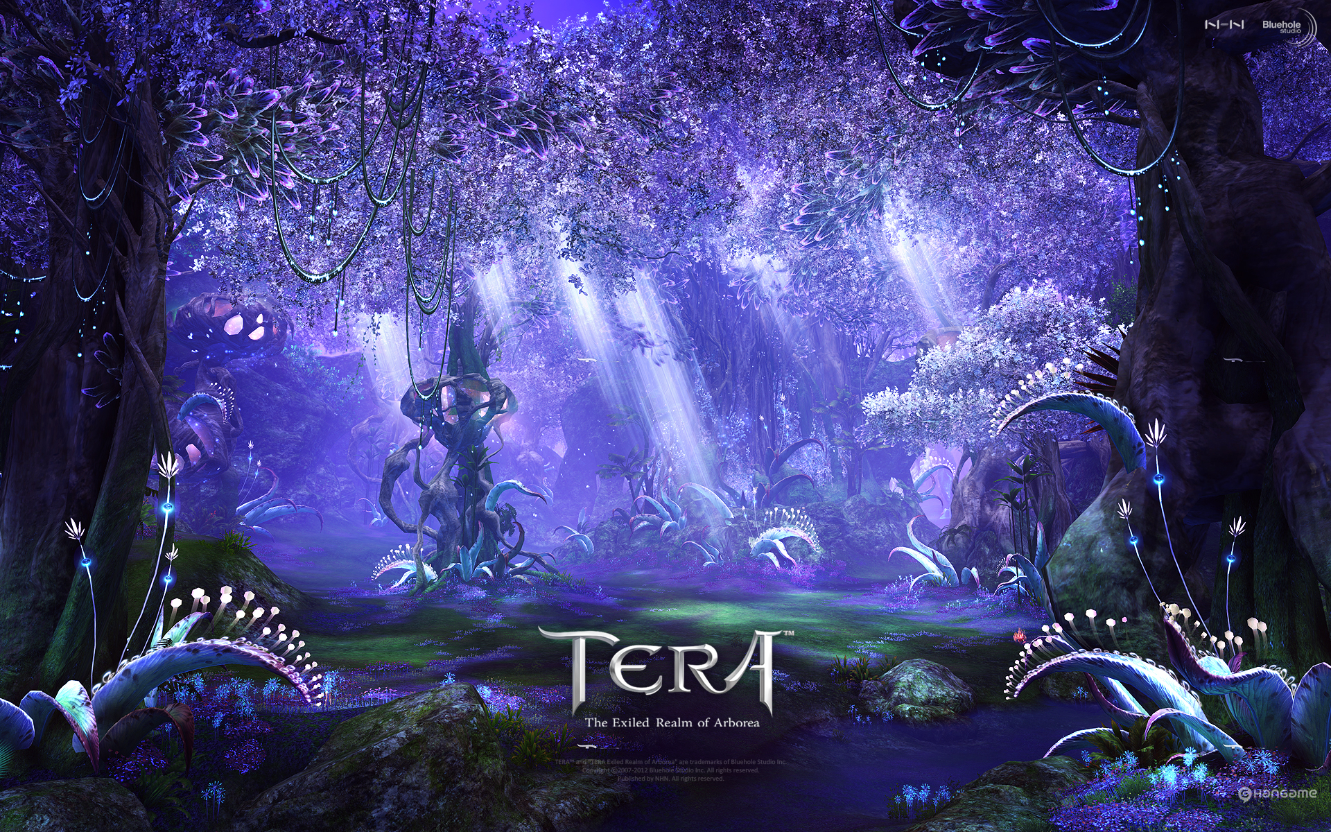 1920x1200 tera, Online, Fantasy, Anime Wallpapers HD / Desktop and Mobile Backgrounds