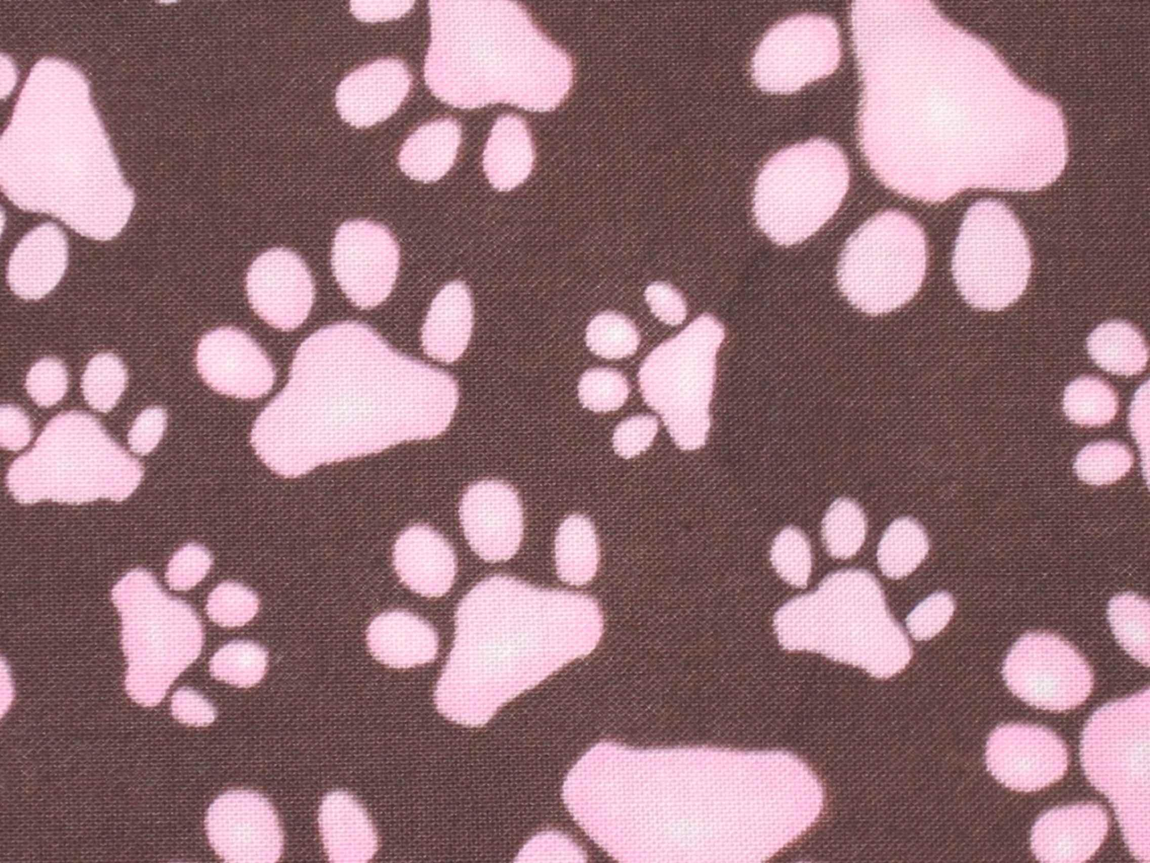 2272x1704 Paw Prints wallpaper | animals | Wallpaper Better