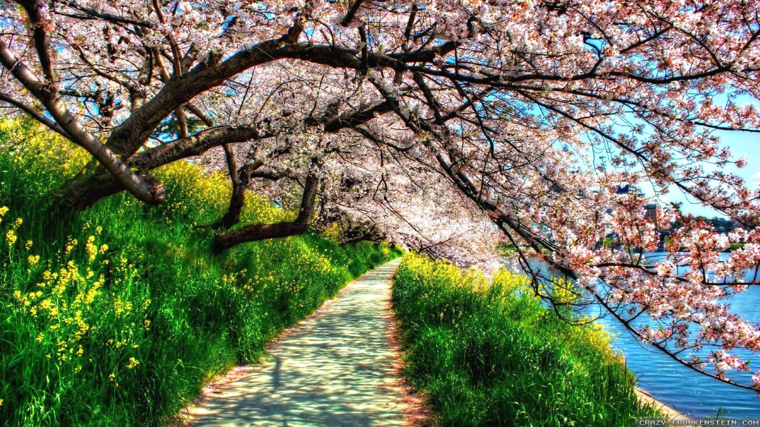 2560x1440 Spring Nature Wallpapers