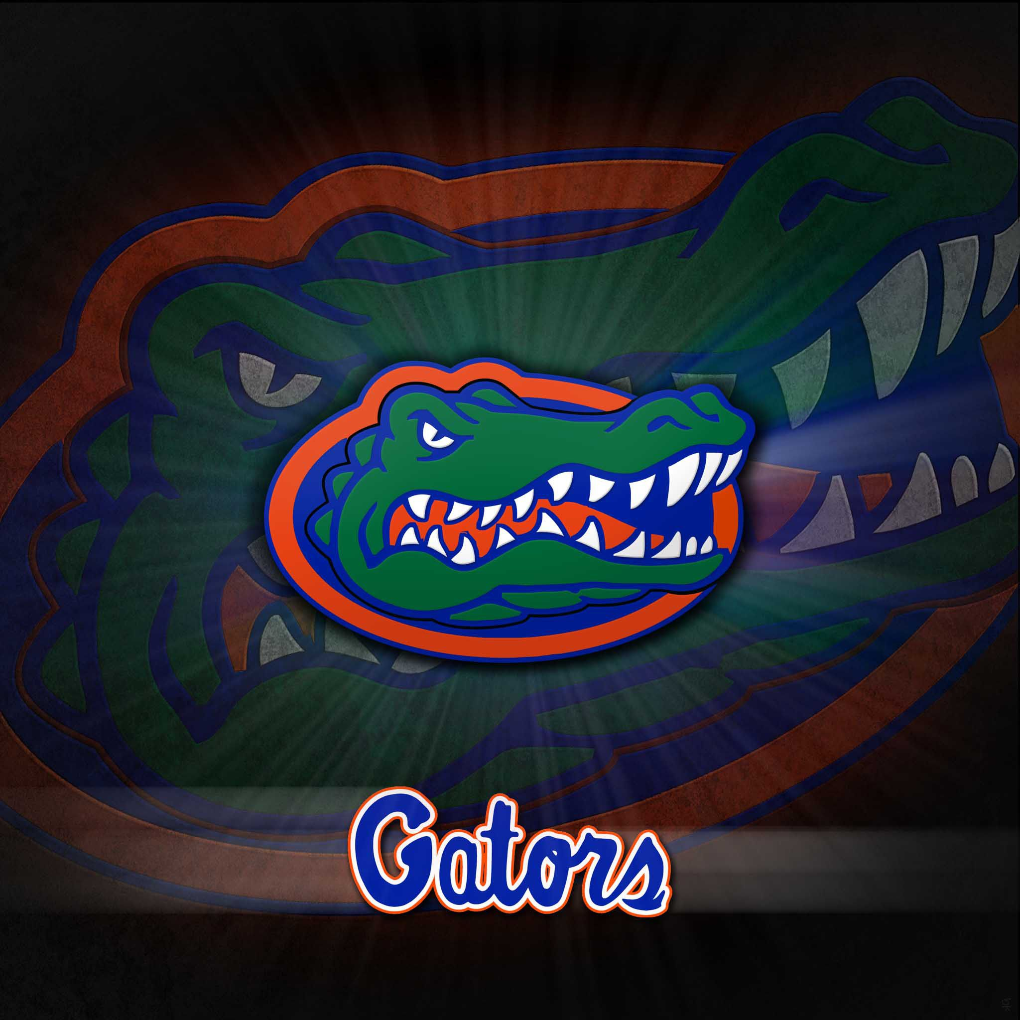 2048x2048 Florida Gators Wallpapers Top Free Florida Gators Backgrounds