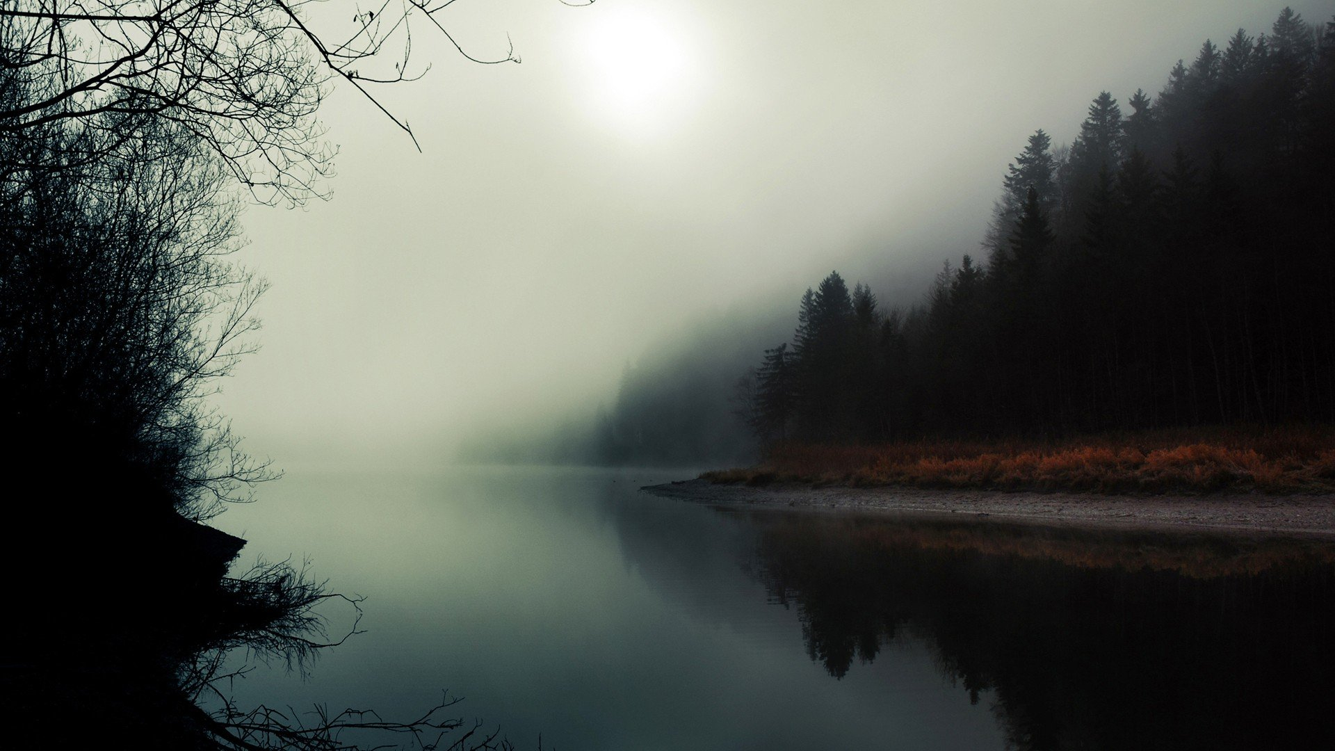 1920x1080 water, Landscapes, Trees, Fog, Twin, Peaks Wallpapers HD / Desktop and Mobile Backgrounds