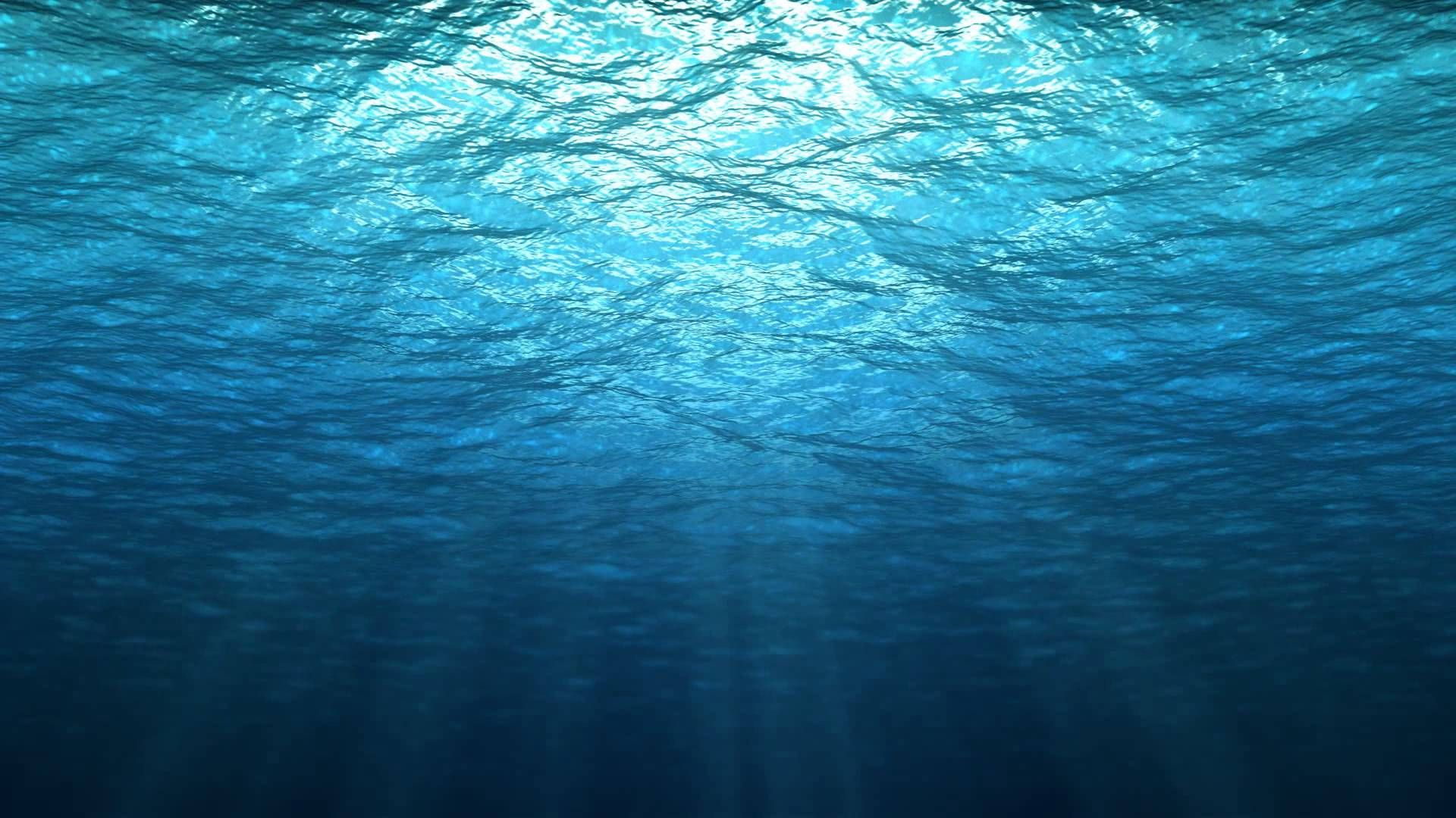 1920x1080 Prince of Land And Sea | Underwater wallpaper, Underwater background, Blue water wallpaper
