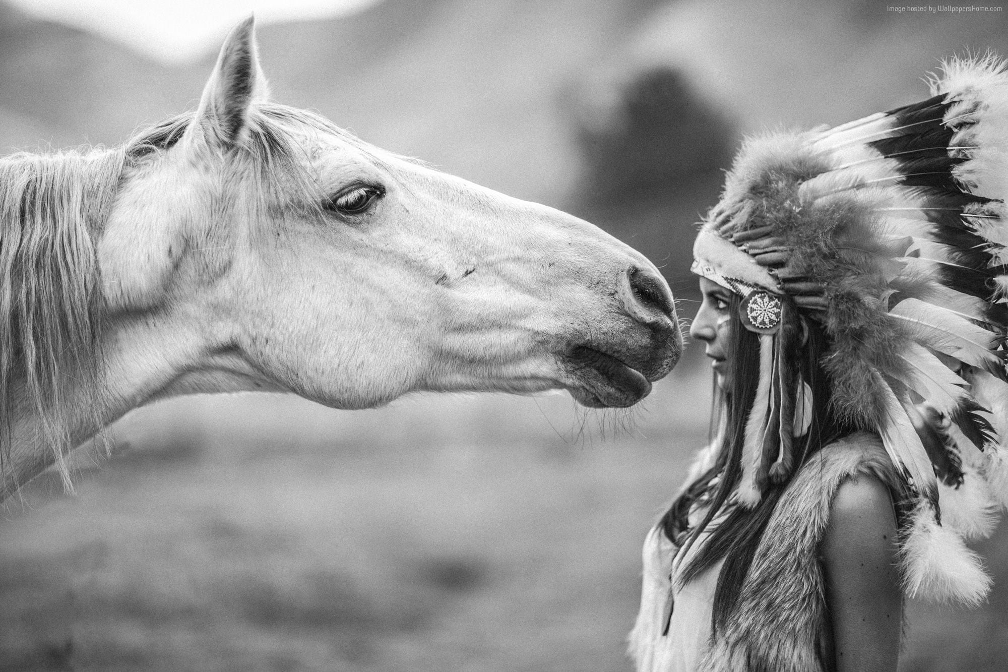 2000x1333 Grayscale photo of female Native American facing horse HD wallpaper |