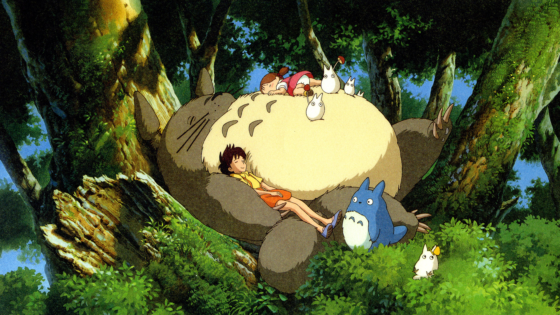 1920x1080 My Neighbor Totoro HD Wallpaper