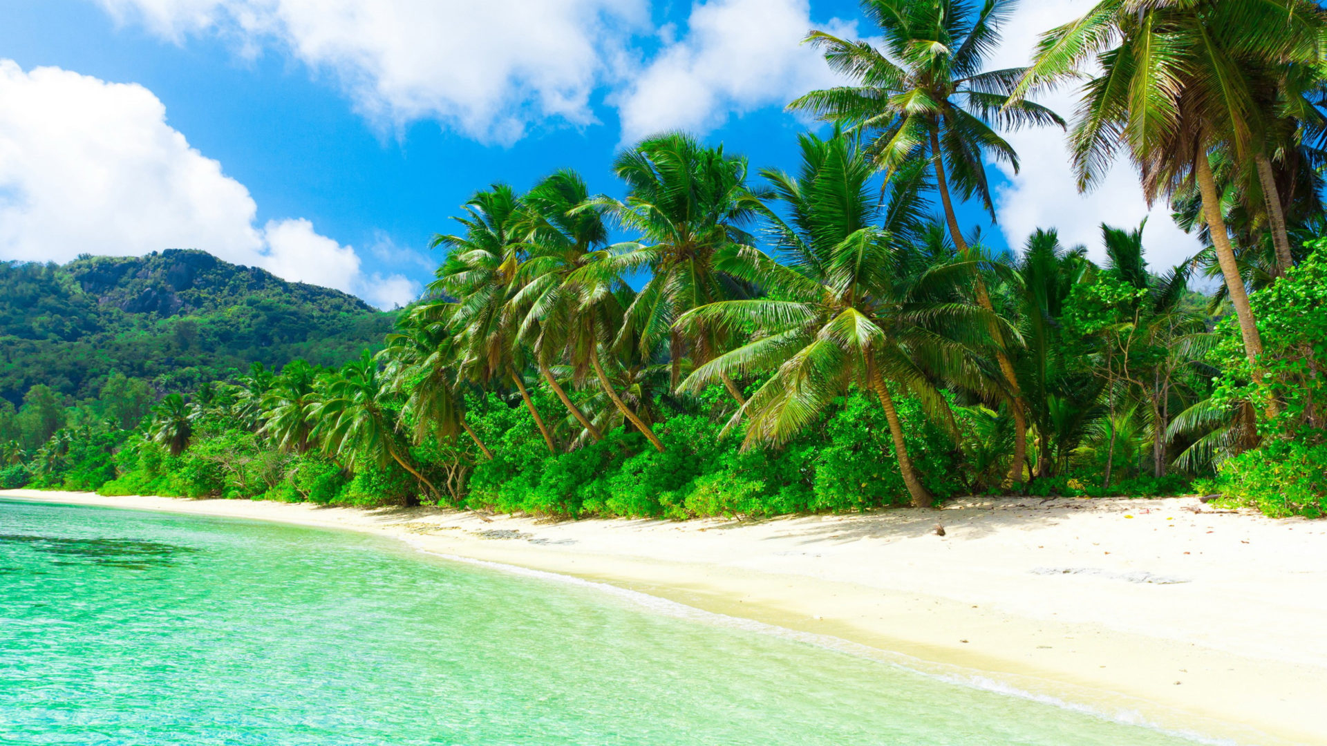 1920x1080 Tropical Paradise Beach KDE Store