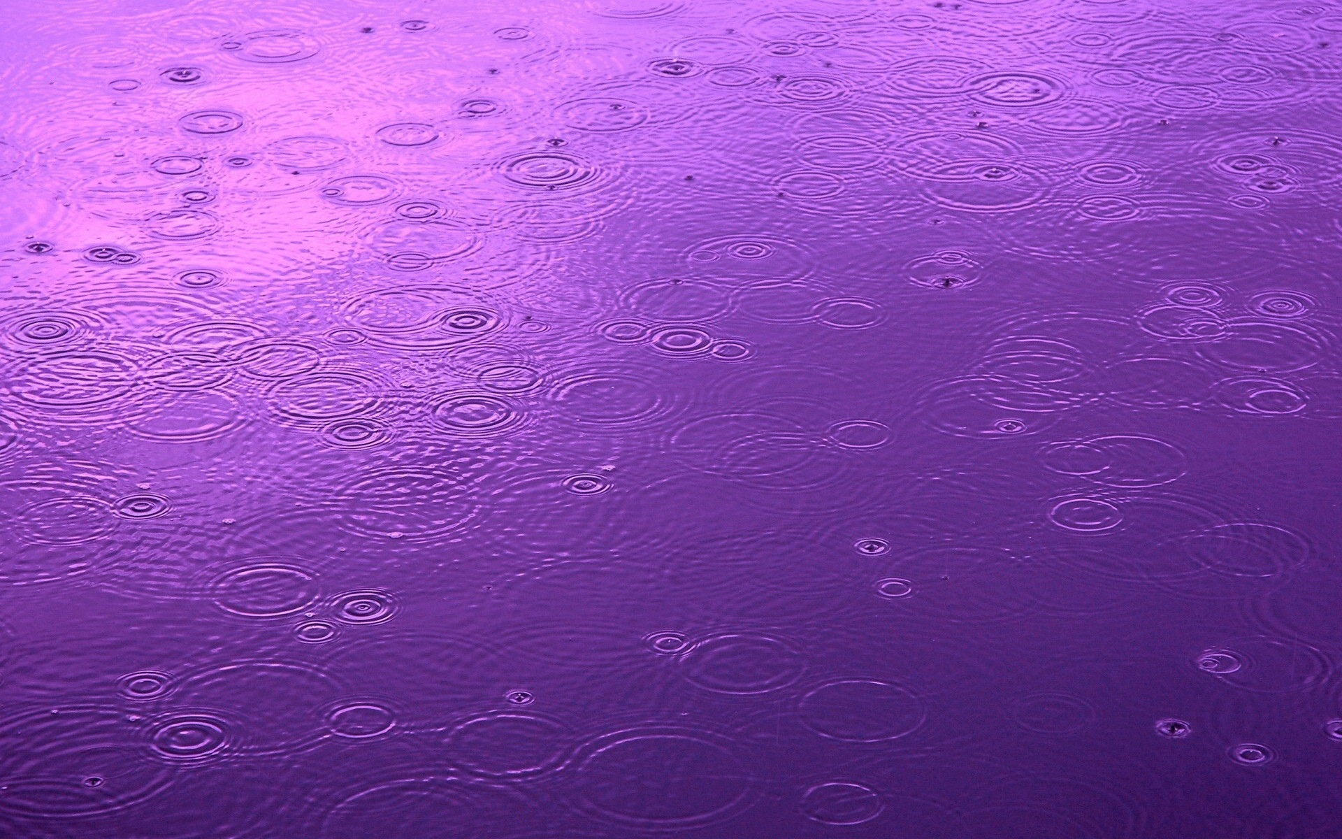1920x1200 Raindrops HD Wallpaper
