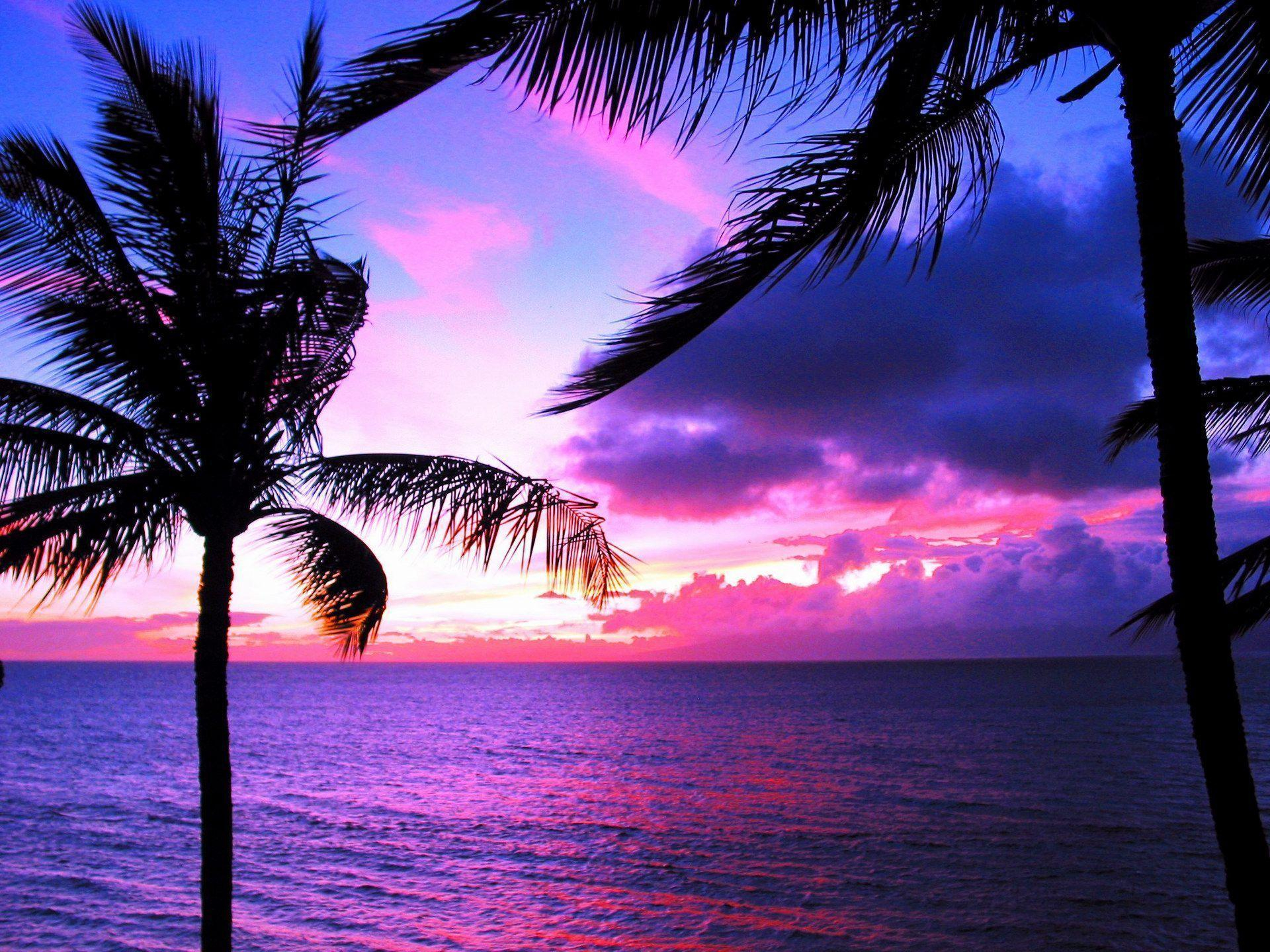 1920x1440 Hawaii Sunset Wallpapers Top Free Hawaii Sunset Backgrounds