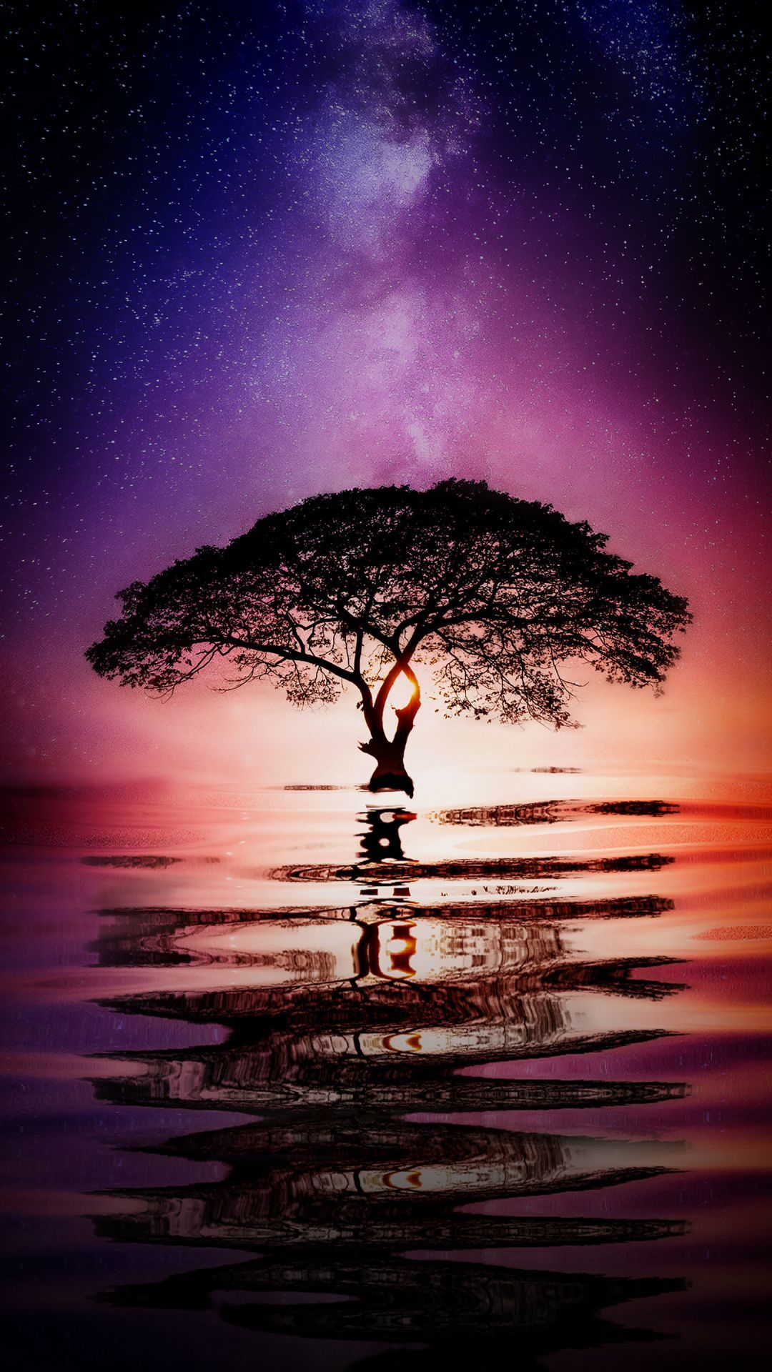 1080x1920 Tree Water Wallpapers Top Free Tree Water Backgrounds