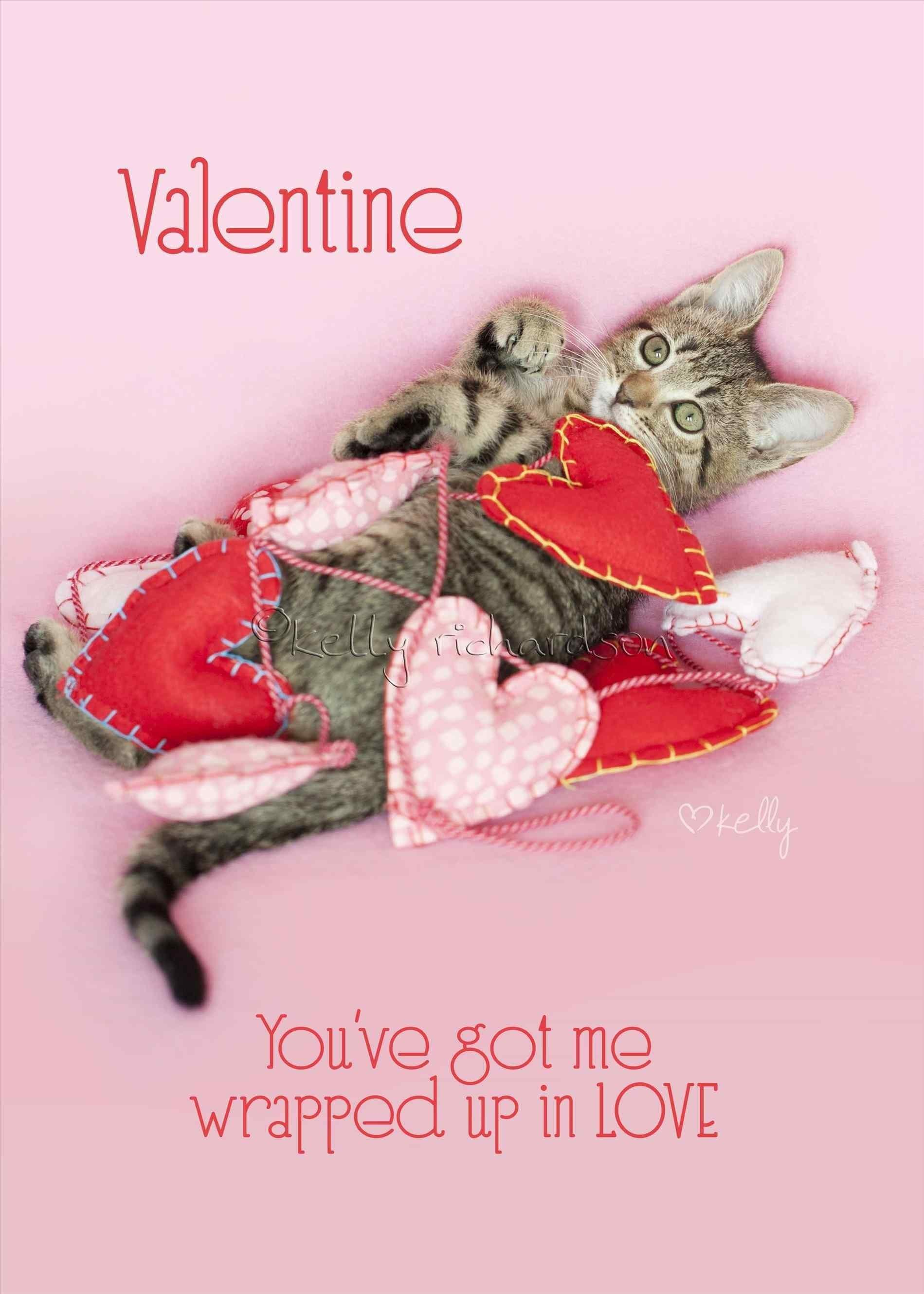 1899x2660 Valentine Kitties Wallpapers