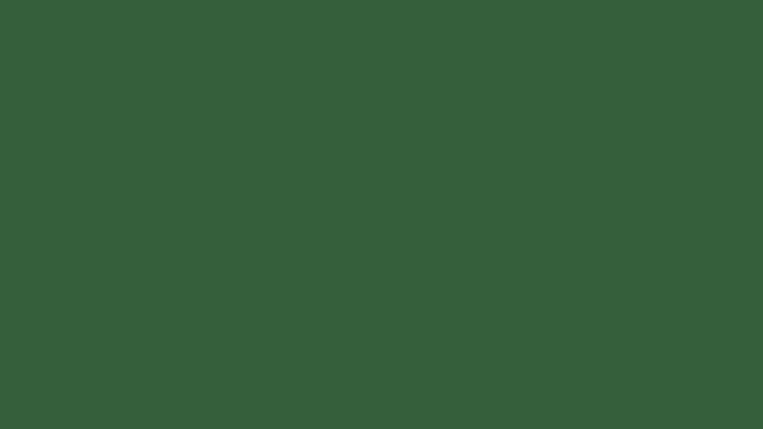 2560x1440 Hunter Green Solid Color Background