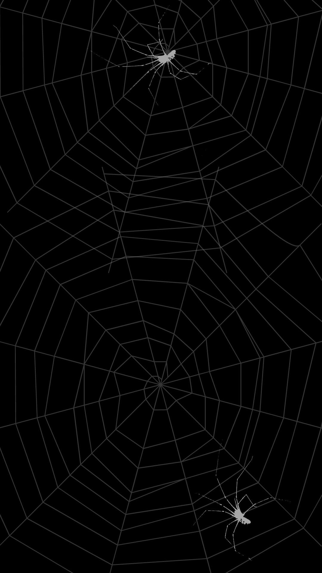 1080x1920 wallpaper #cobweb #spider in 2022 | Black wallpaper, Wallpaper, Cobweb