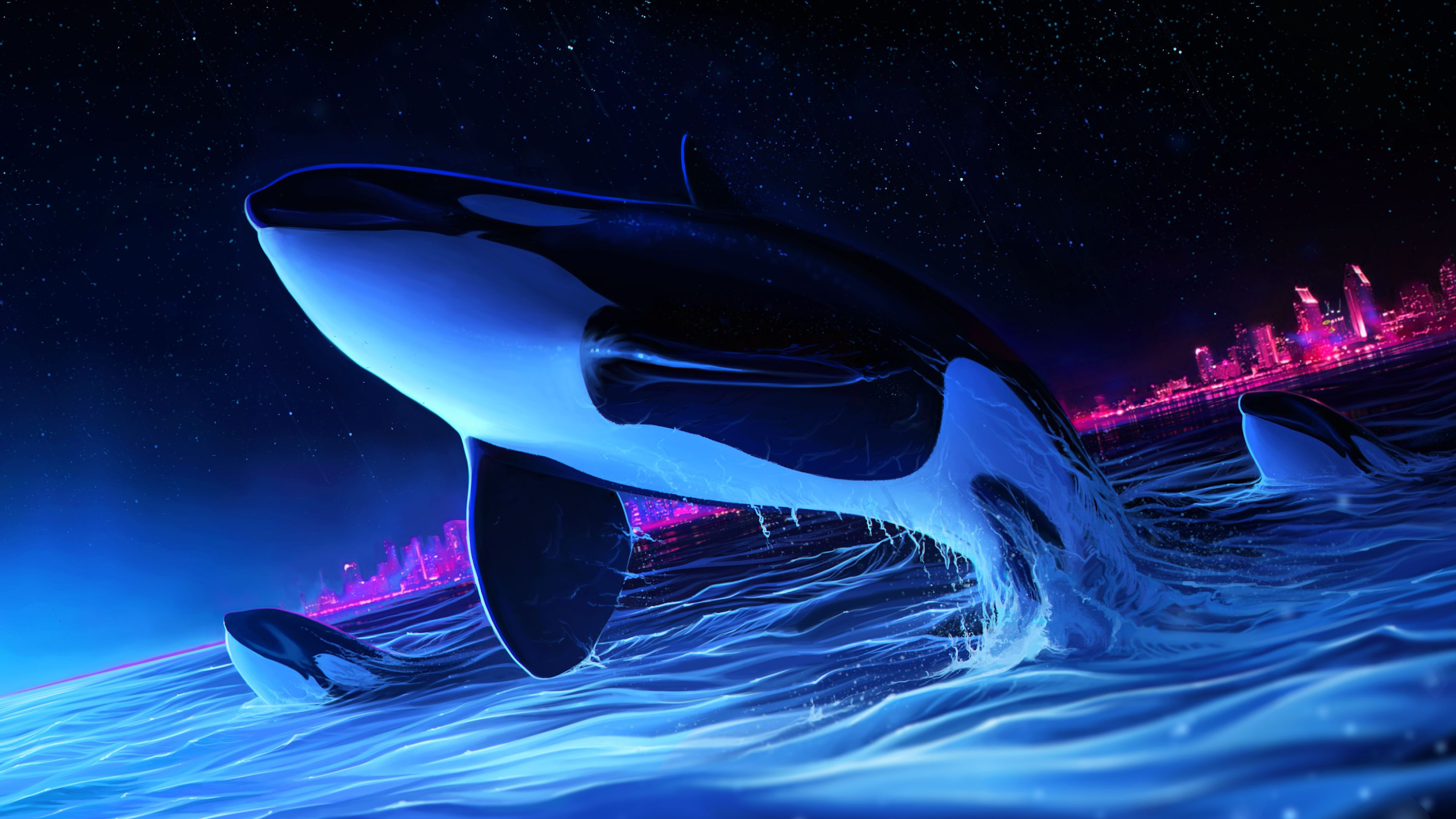 3840x2160 Dolphin Night Orca Whale Digital Art 4k whale wallpapers, hd-wallpapers, dolphin wallpapers, digital art wallpapers, deviantart wall&acirc;&#128;&brvbar; | Whale, Orca art, Orca whales