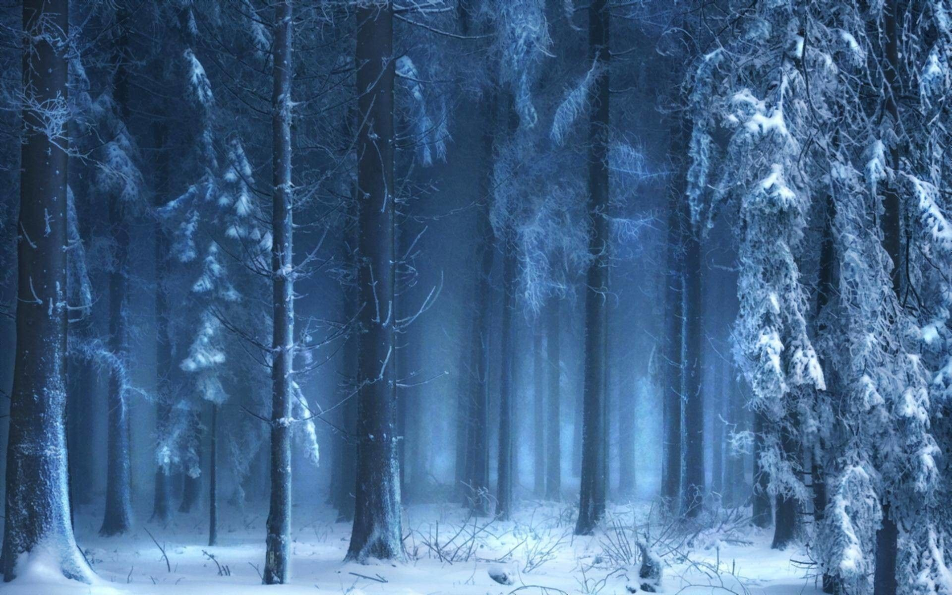 1920x1200 Ice Forest Wallpapers Top Free Ice Forest Backgrounds