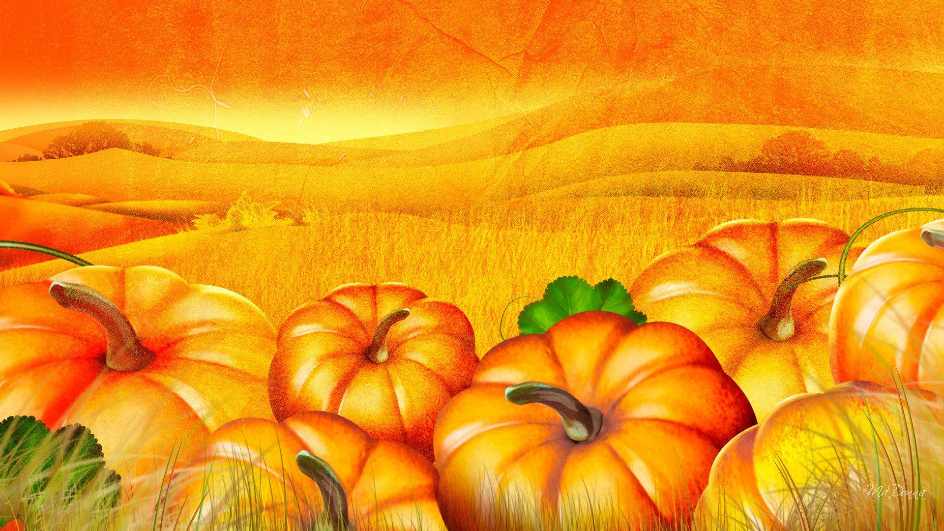 1920x1080 HD Pumpkin Patch Halloween Autumn Desktop Photo Wallpaper | Download Free 145438