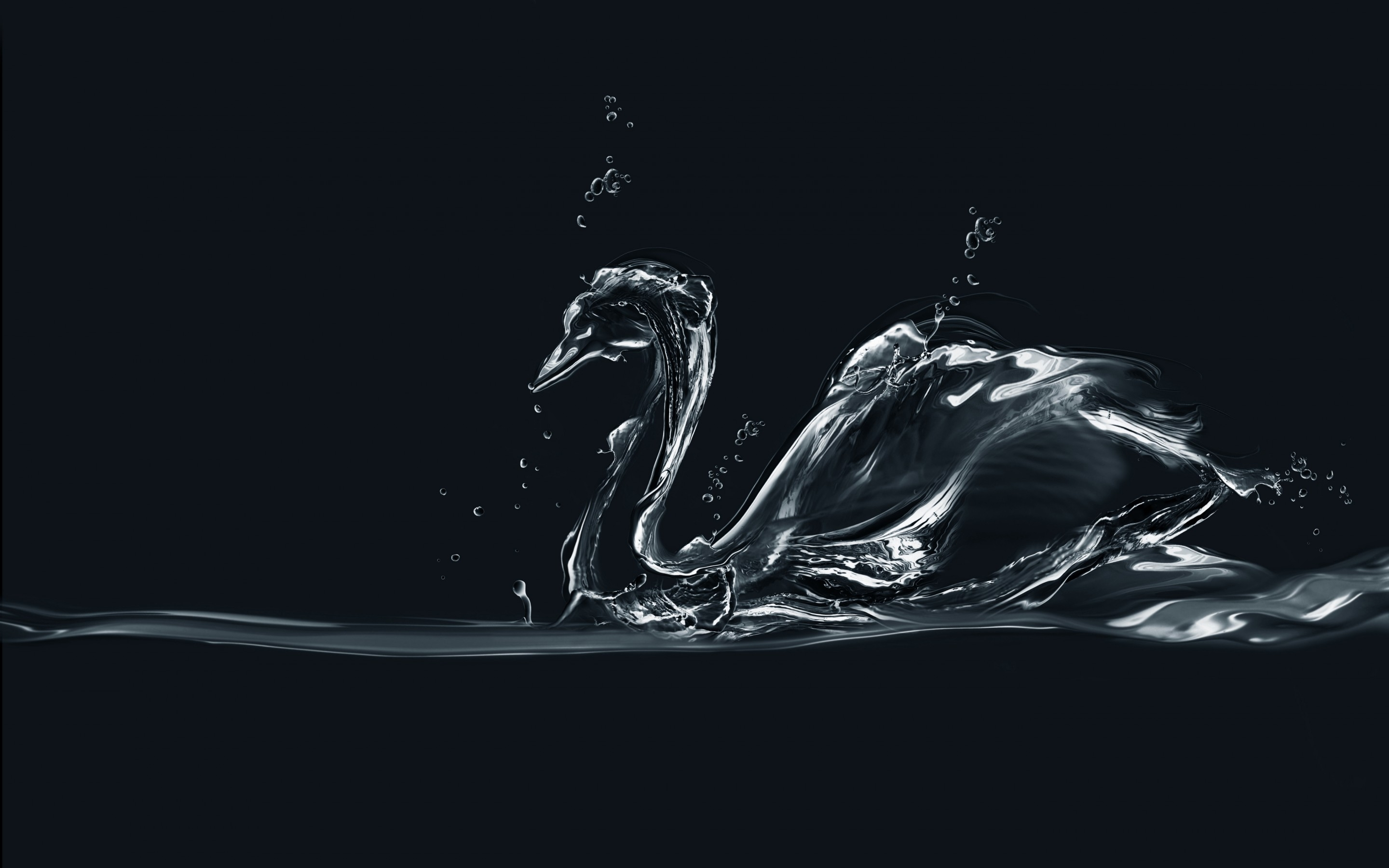 2880x1800 100+ Swan HD Wallpapers and Backgrounds