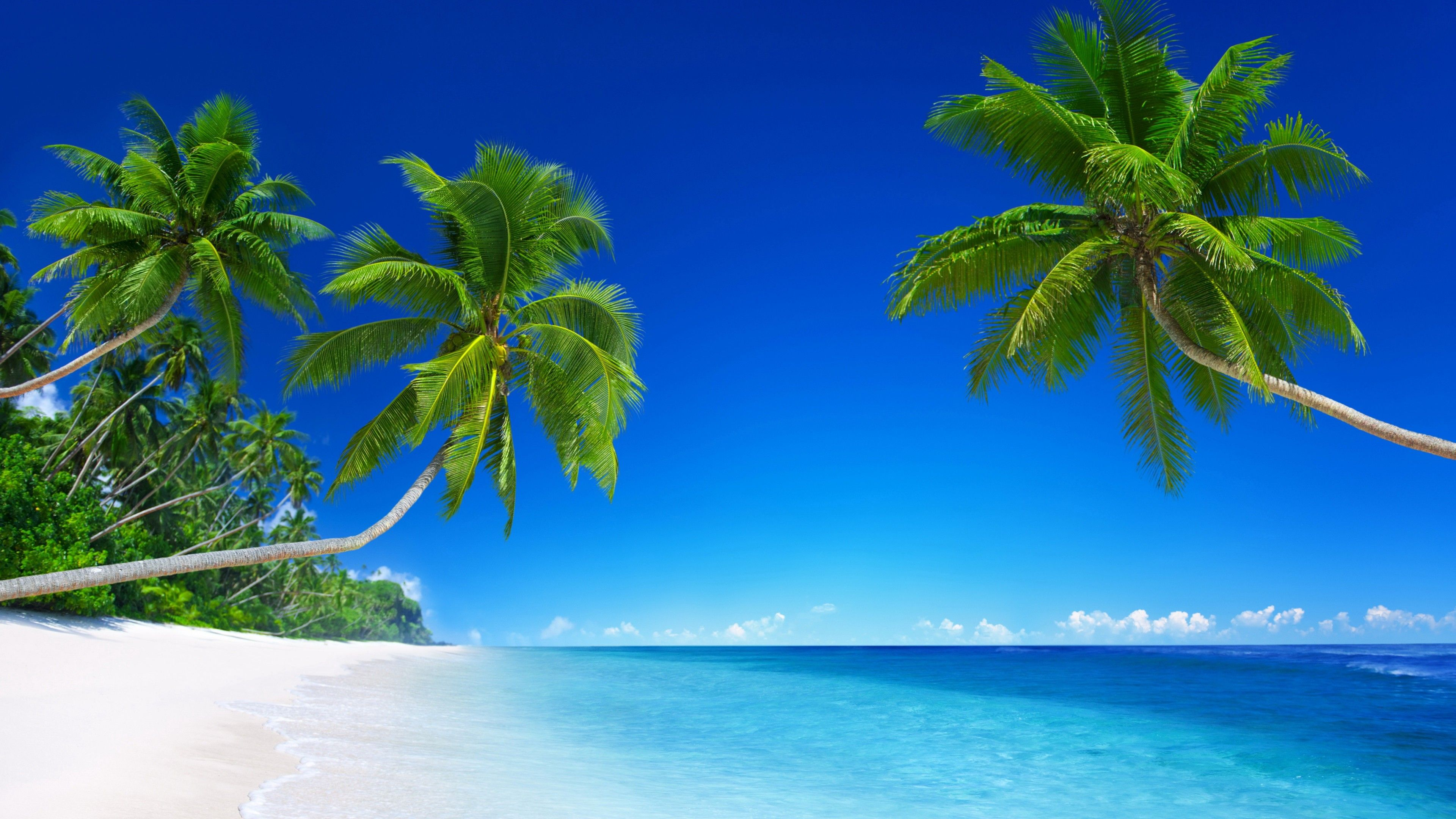 3840x2160 4K Tropical Wallpapers Top Free 4K Tropical Backgrounds