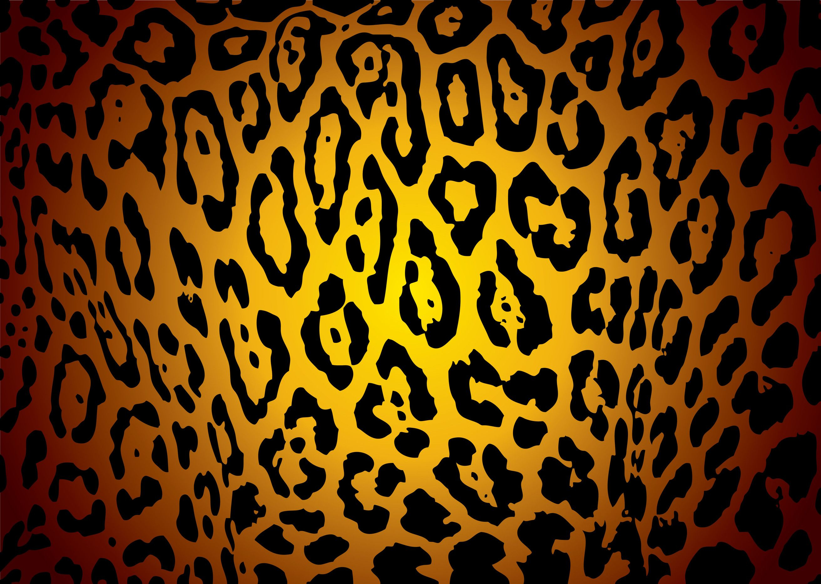2624x1867 Leopard Print Wallpapers Top Free Leopard Print Backgrounds