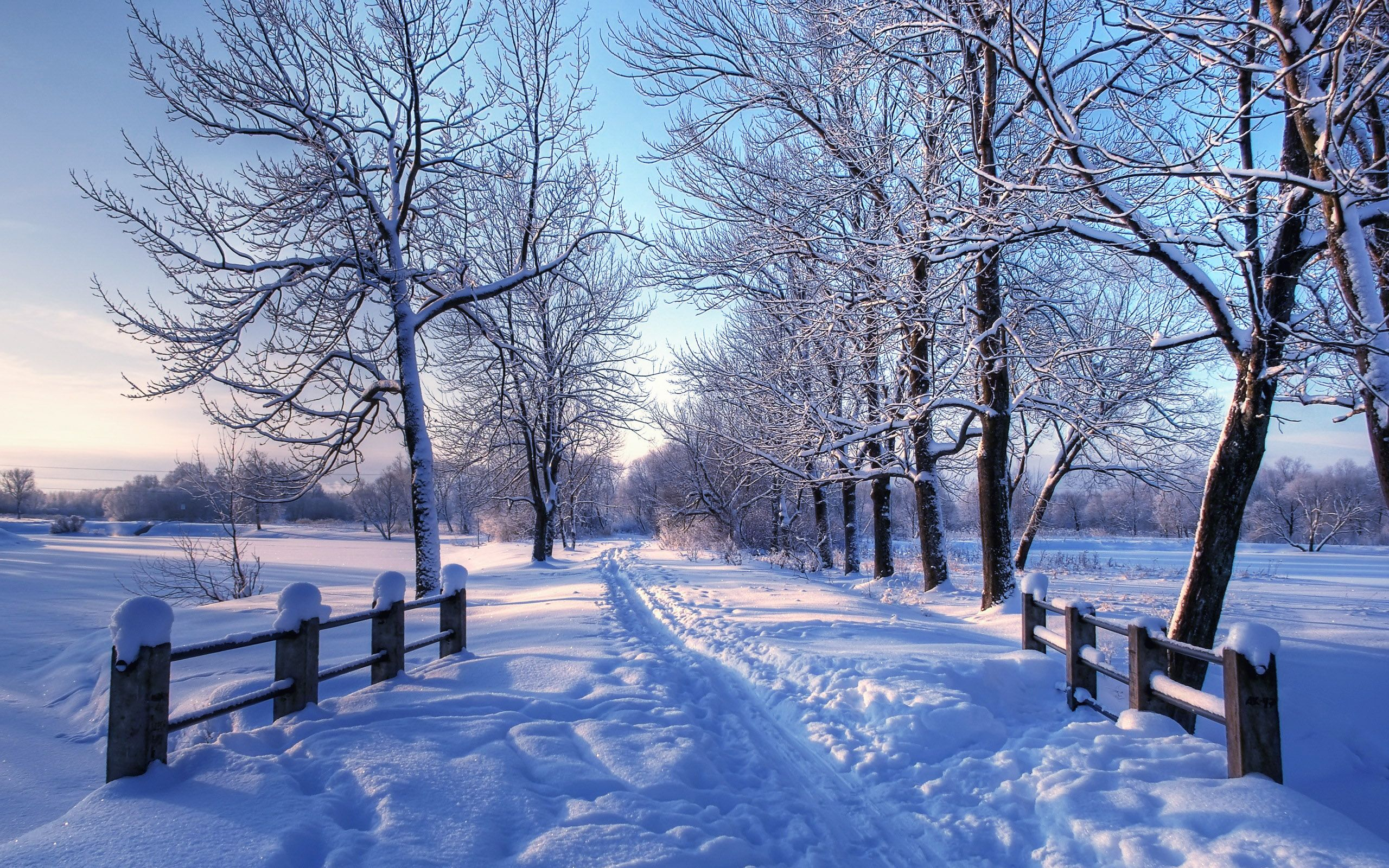 2560x1600 Winter Wallpaper For Mac | Winter landscape, Winter scenery, Winter scenes