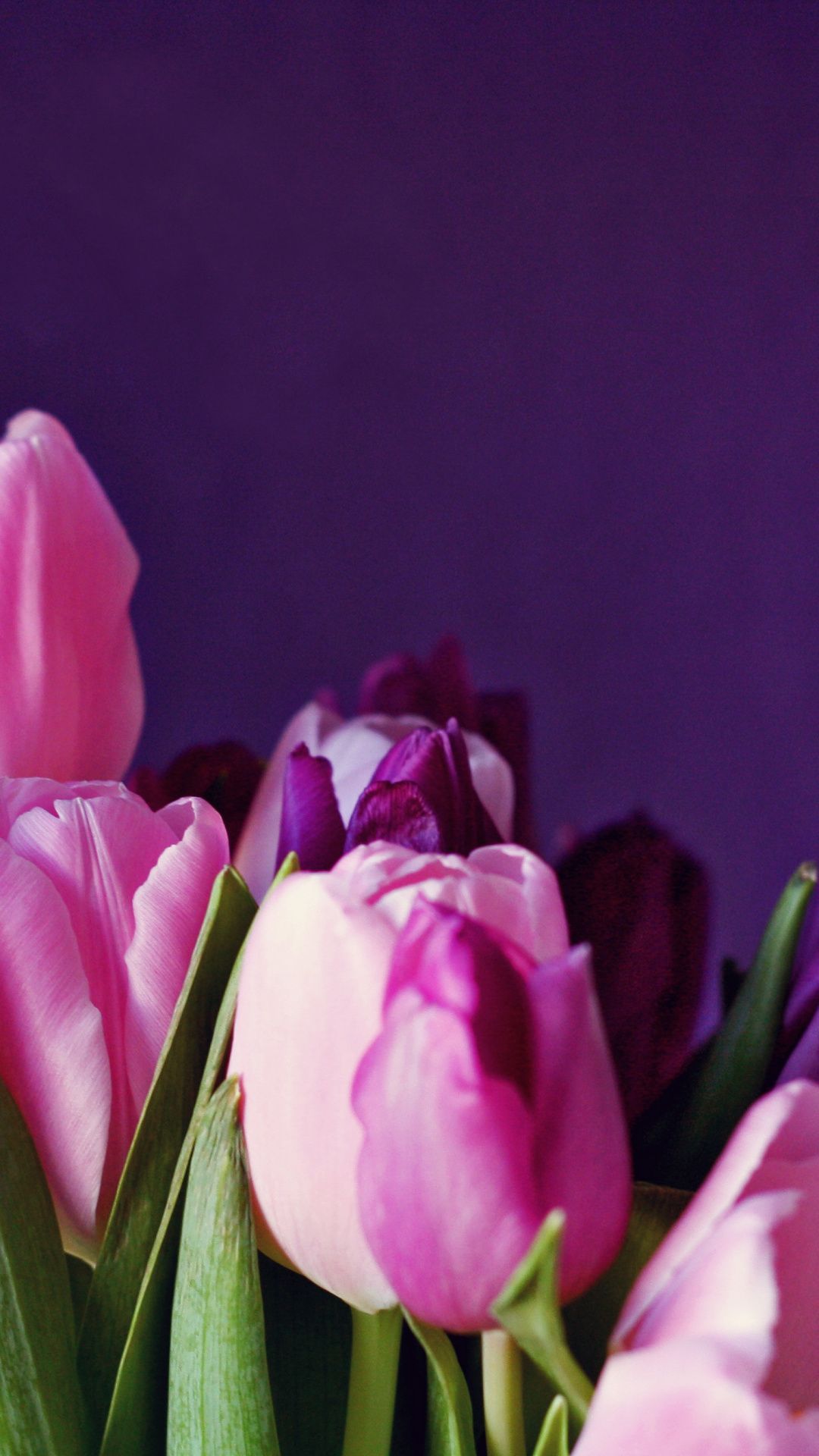 1080x1920 Colorful, tulip, flowers Wallpaper | Tulips, Flowers, Wallpaper