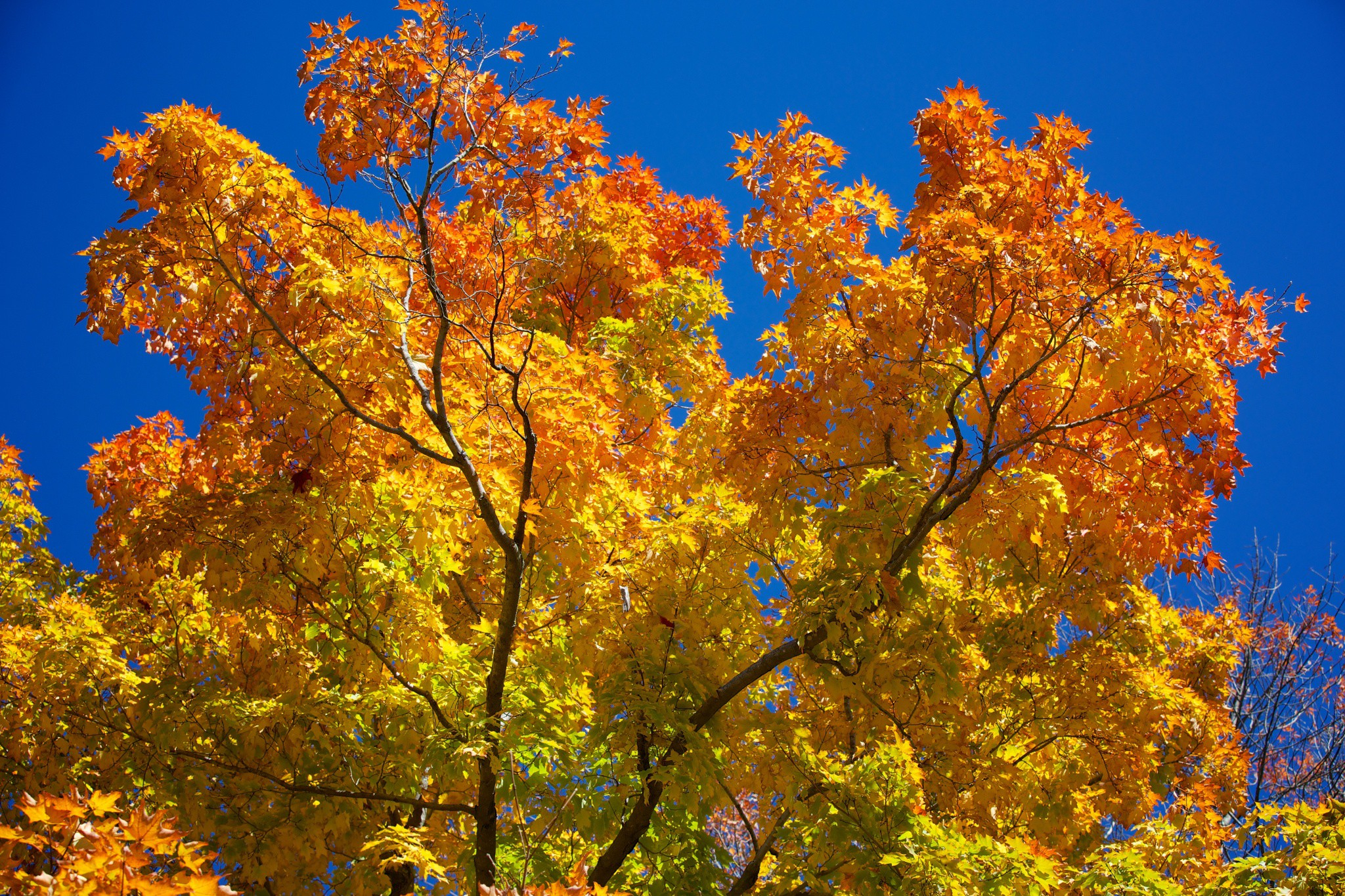 2048x1365 Fall in New England wallpaper | nature and landscape | Wallpaper Better