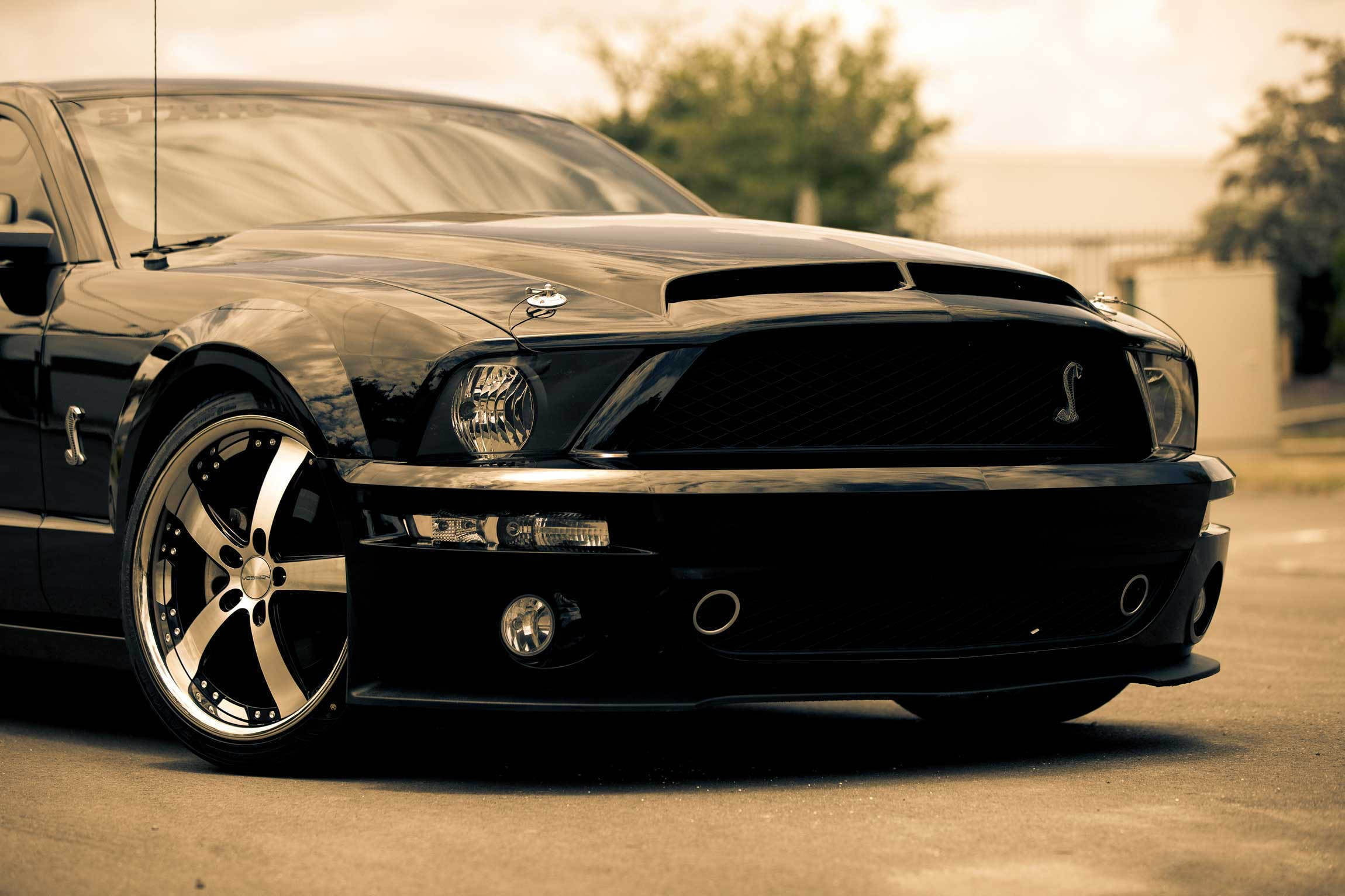 2300x1533 Black car, car, muscle cars, Ford Mustang GT, Ford Mustang HD wallpaper |