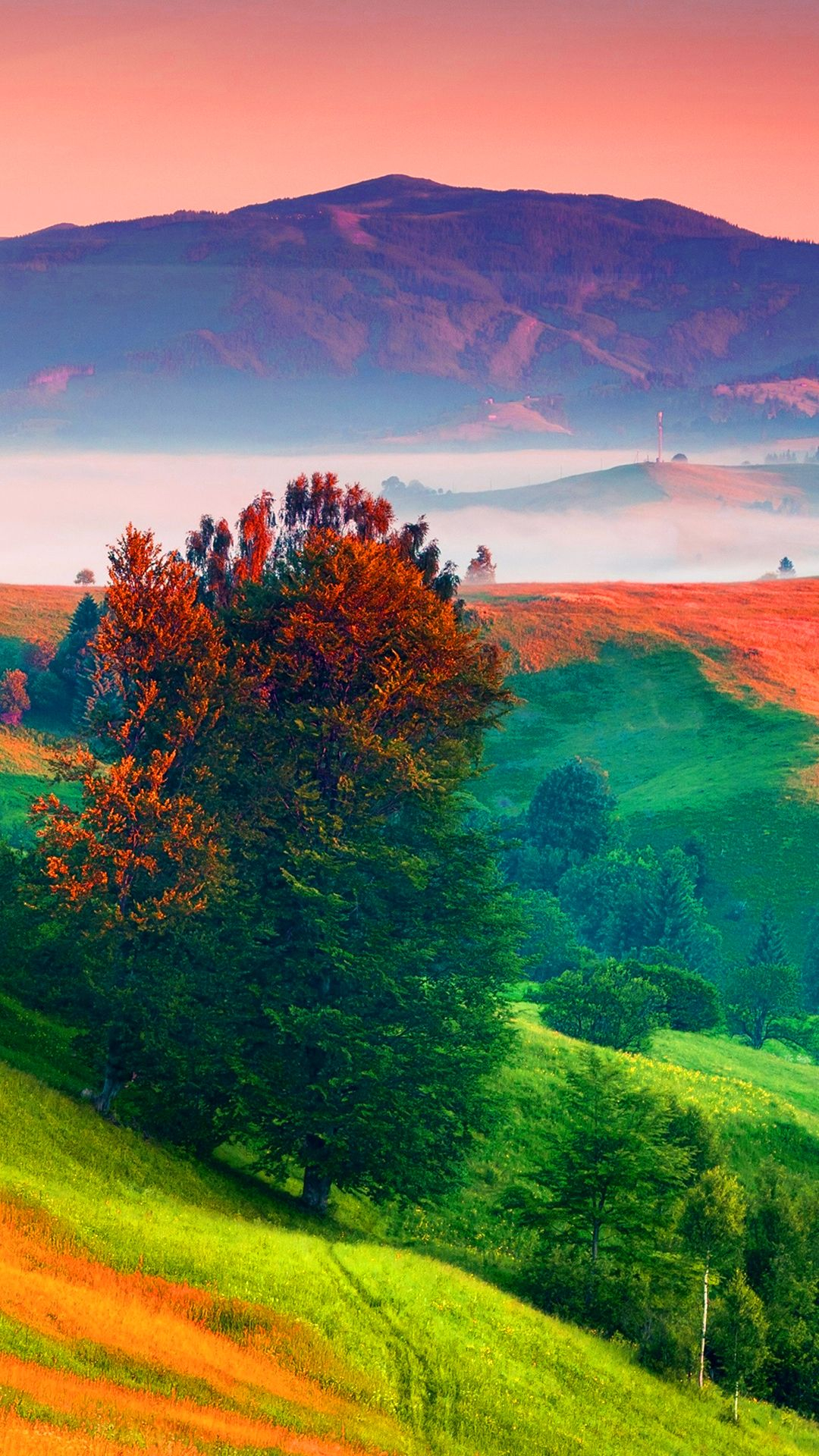 1080x1920 Colorful Nature Green Red Purple Landscape Wallpaper | Fondos
