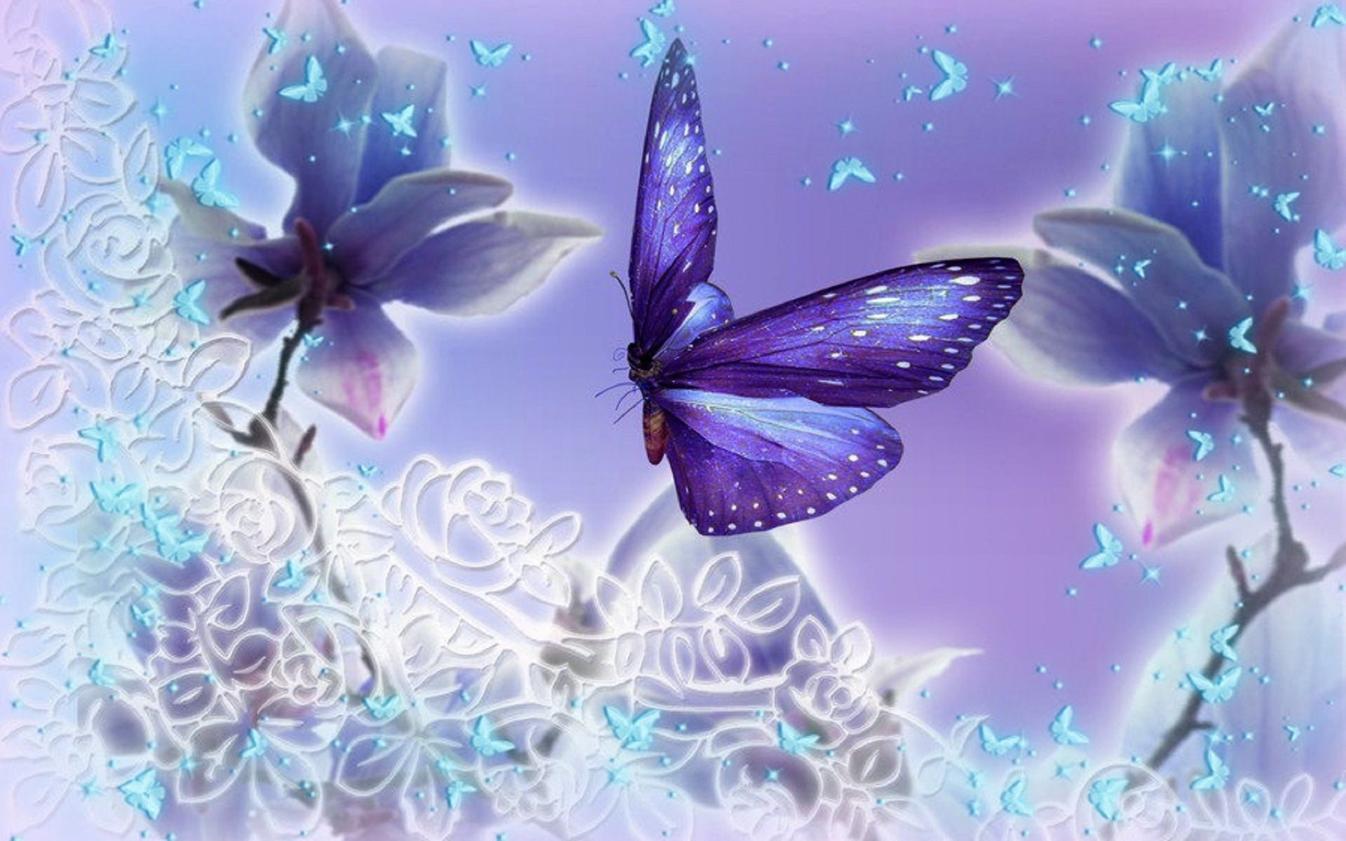 1920x1200 Midnight Purple Butterfly Wallpapers Top Free Midnight Purple Butterfly Backgrounds