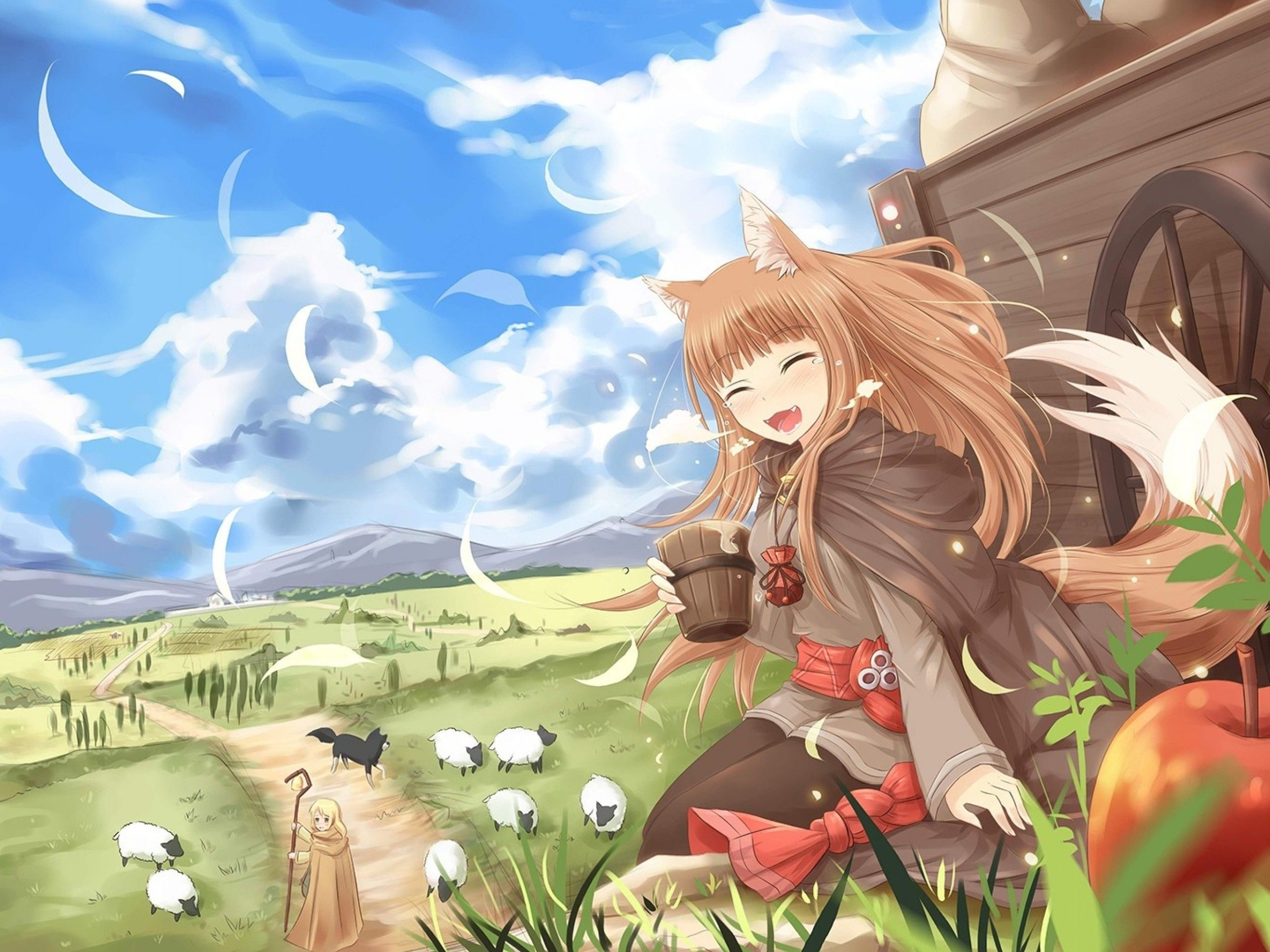 2560x1920 Holo The Wise Wolf Wallpapers