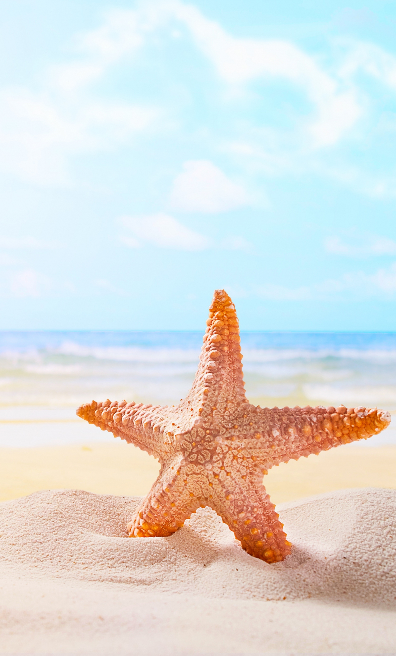 1280x2120 Download sand, starfish, beach wallpaper, iphone 6 plus, hd image, background, 4992