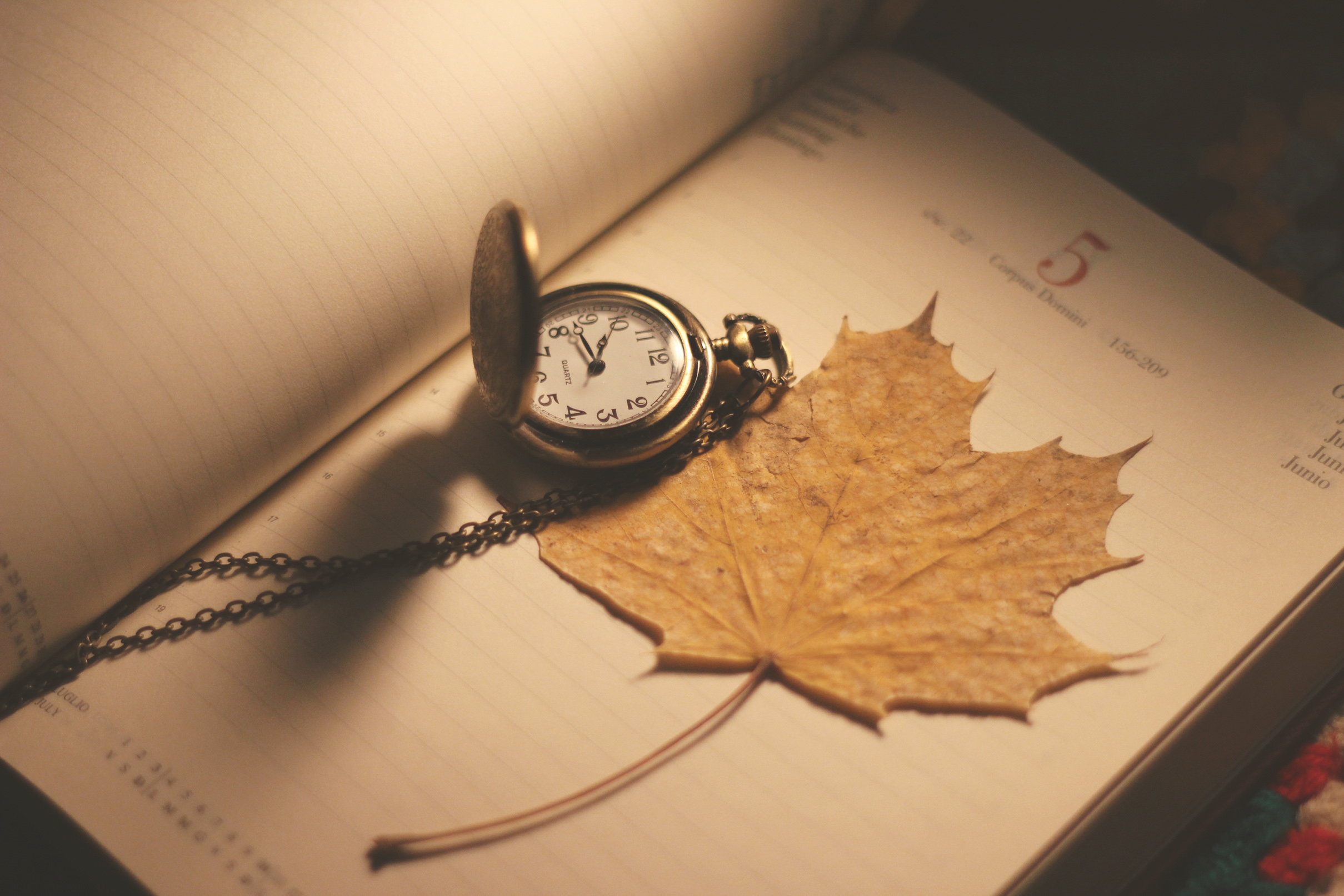 2419x1613 Wallpaper : old, Canon, vintage, leaf, time, antique, diary, watch, pocketwatch, t3i 935174 HD Wallpapers