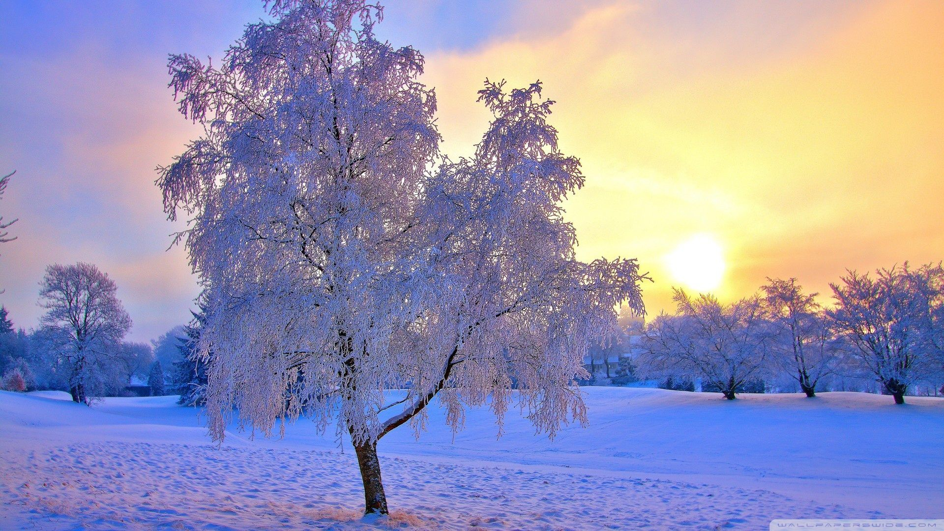 1920x1080 Colorful Winter Wallpapers Top Free Colorful Winter Backgrounds