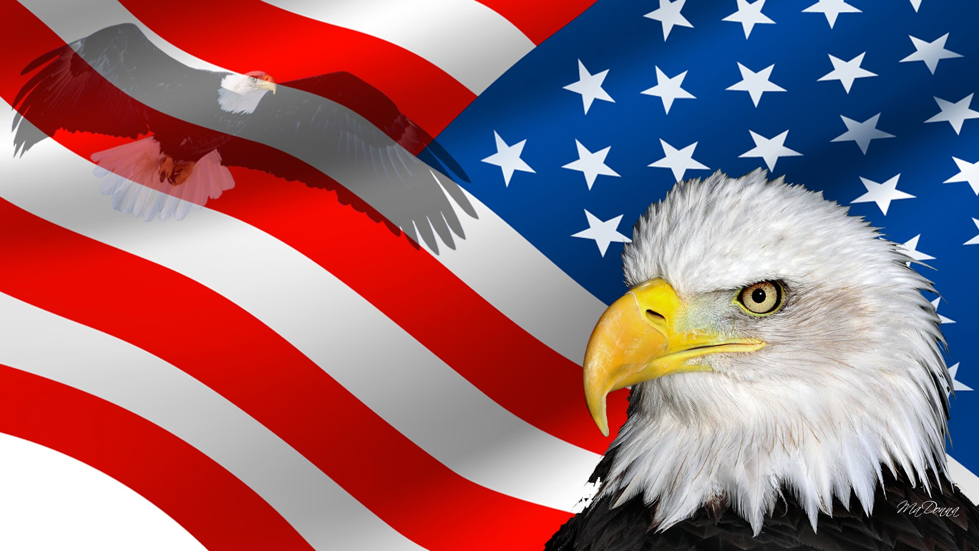 1920x1080 Free HD USA Wallpapers: The Beauty Of Diversity In USA
