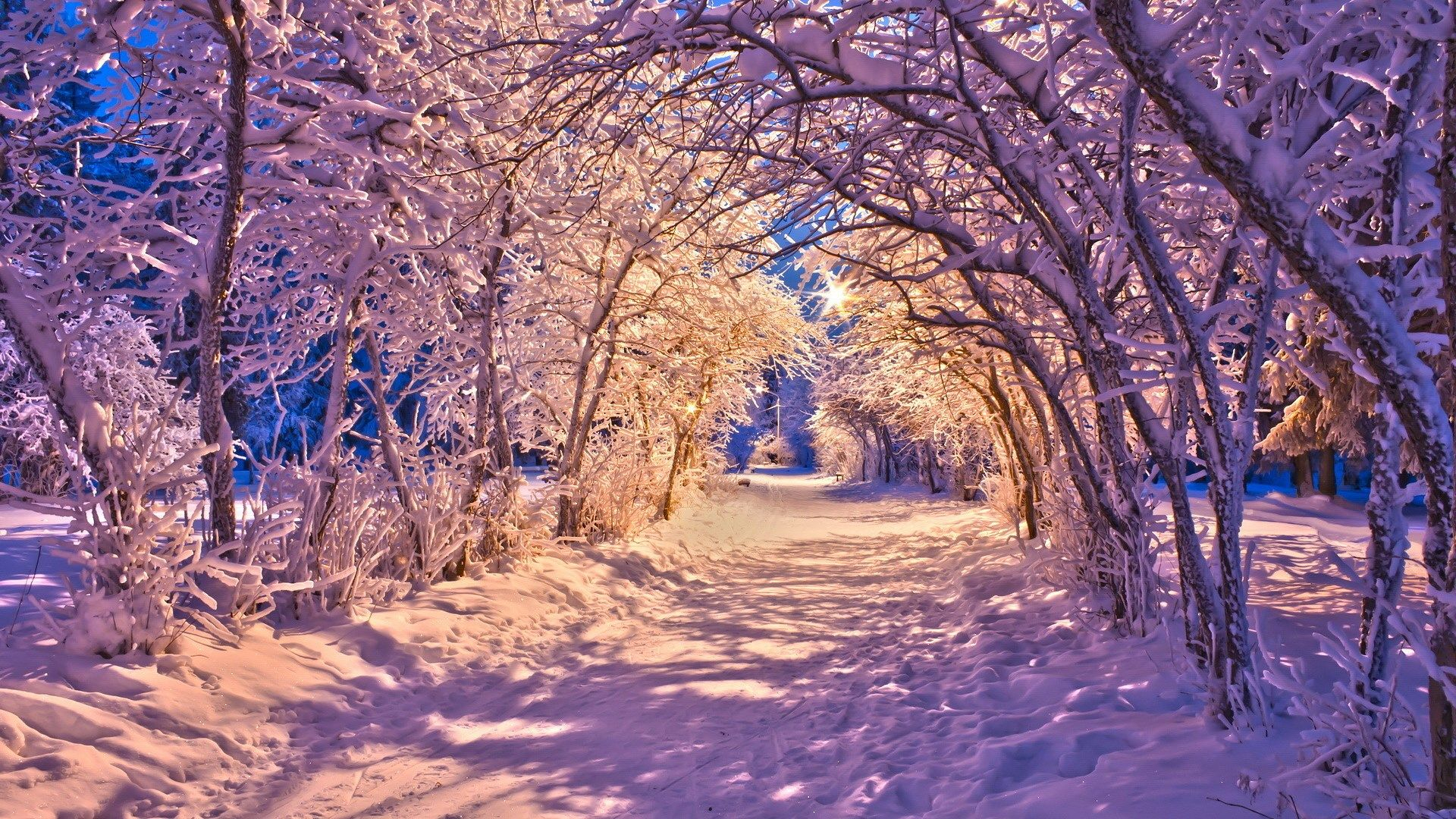 1920x1080 hd nature winter wallpaper backgrounds | Winter landscape, Winter wallpaper, Beautiful winter scenes