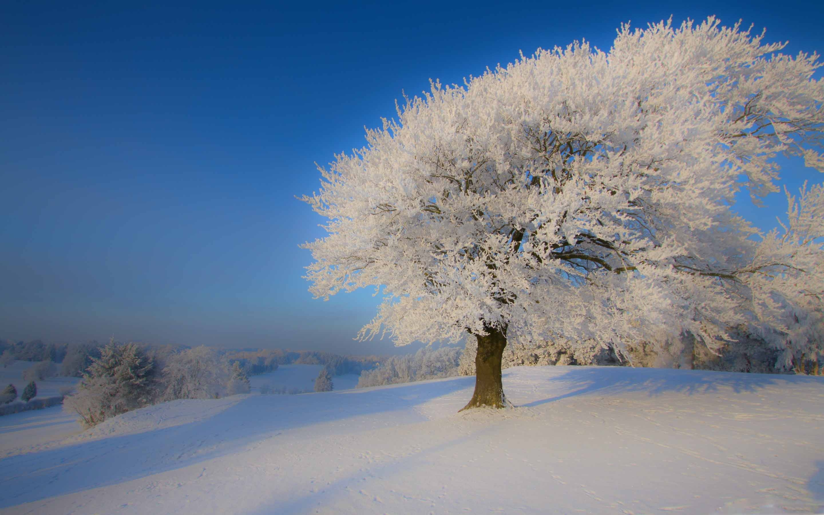 2880x1800 Beautiful Winter Landscape MacBook Air Wallpaper Download