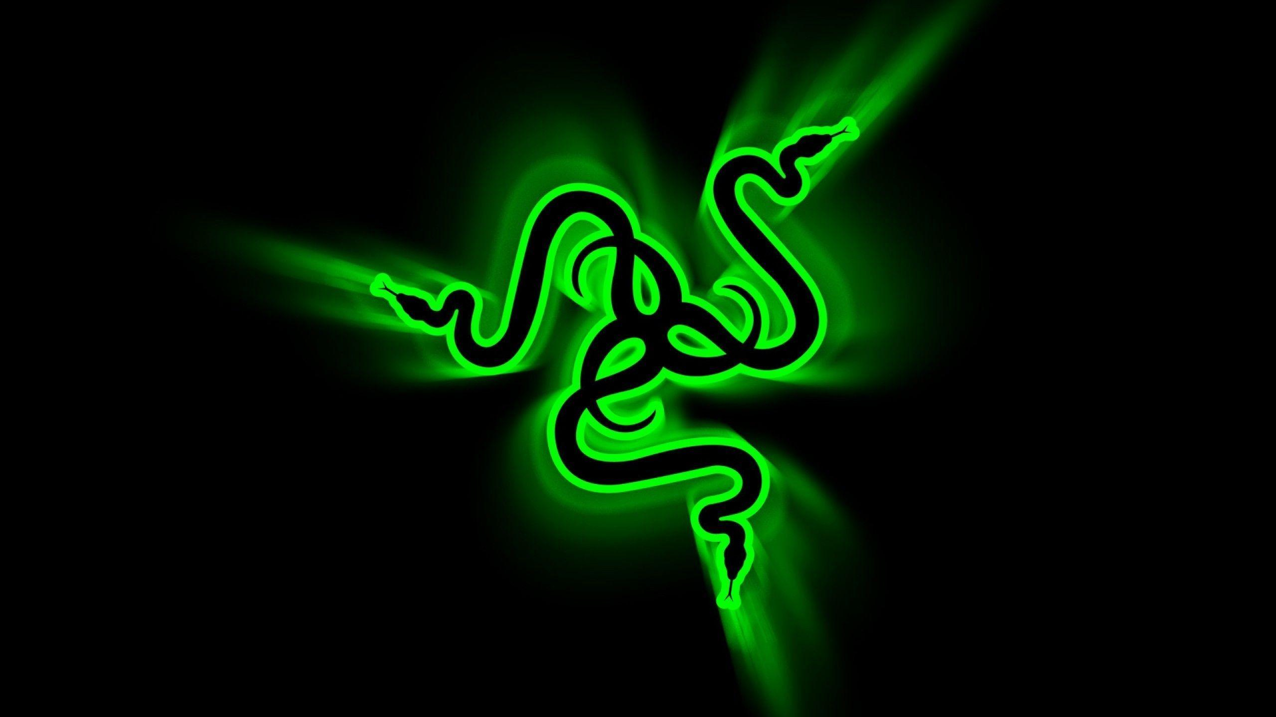 2560x1440 Neon Snake Wallpapers Top Free Neon Snake Backgrounds