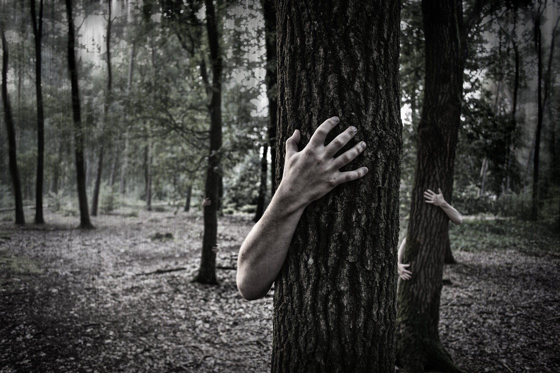 1920x1280 Hands Trunk Creepy Zombie Forest Horror Scary forest wallpaper | | 1061786